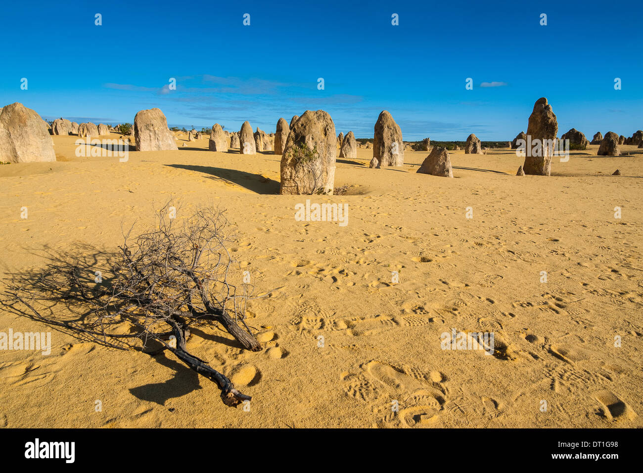 Die Pinnacles-Kalkstein-Formationen bei Sonnenuntergang im Nambung National Park, Western Australia, Australien, Pazifik Stockfoto