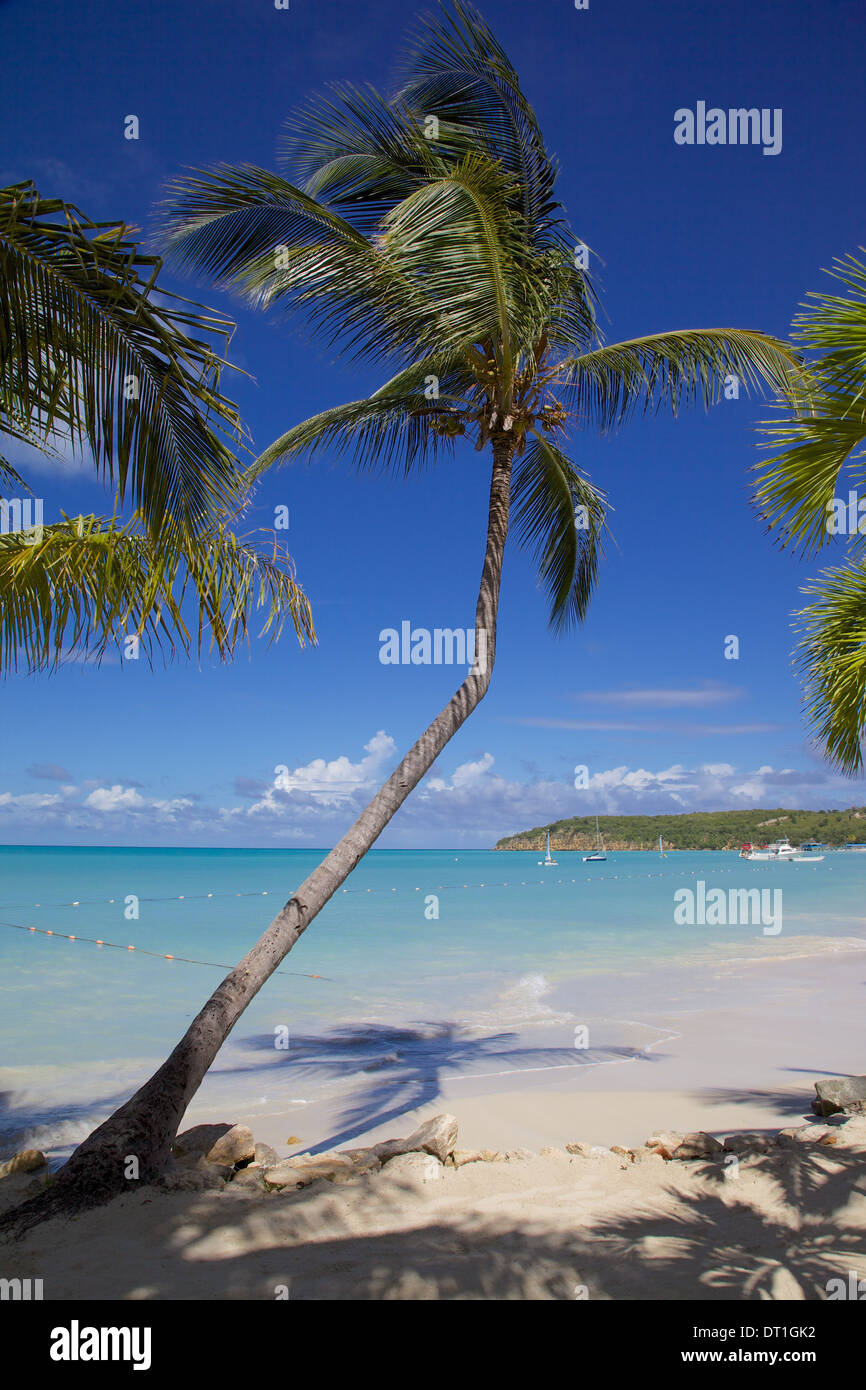 Strand und Palmen Bäume, Dickenson Bay, St. Georges, Antigua, Leeward-Inseln, West Indies, Karibik, Mittelamerika Stockfoto