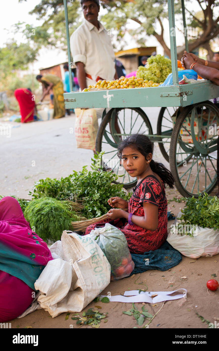 Junge Inderin Verkauf von Kräutern aus einem Korb in einem Straßenmarkt. Andhra Pradesh, Indien Stockfoto