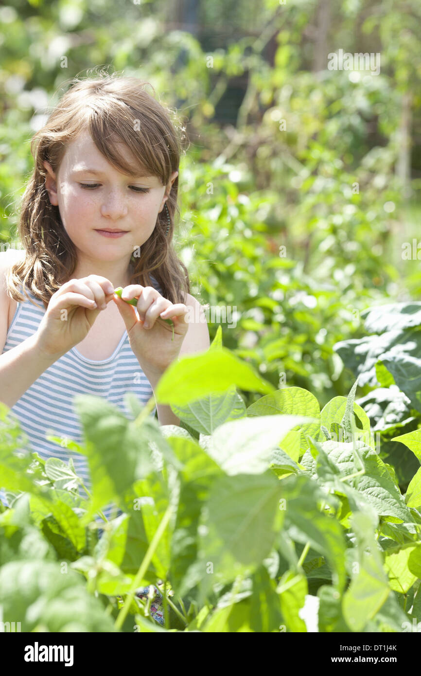 Ein junges Mädchen unter den frischen grünen Laub Garten Gemüse und Blumen pflücken frisches Gemüse im sitzen Stockfoto