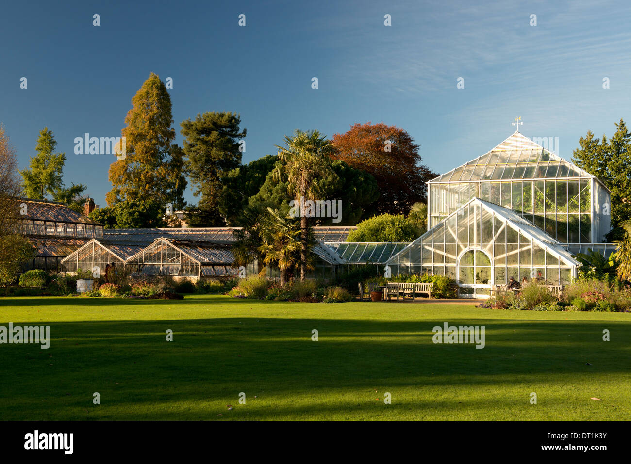 Die Gewächshäuser an einem Herbsttag in der Cambridge Botanic Garden, Cambridge, Cambridgeshire, England, Vereinigtes Königreich, Europa Stockfoto