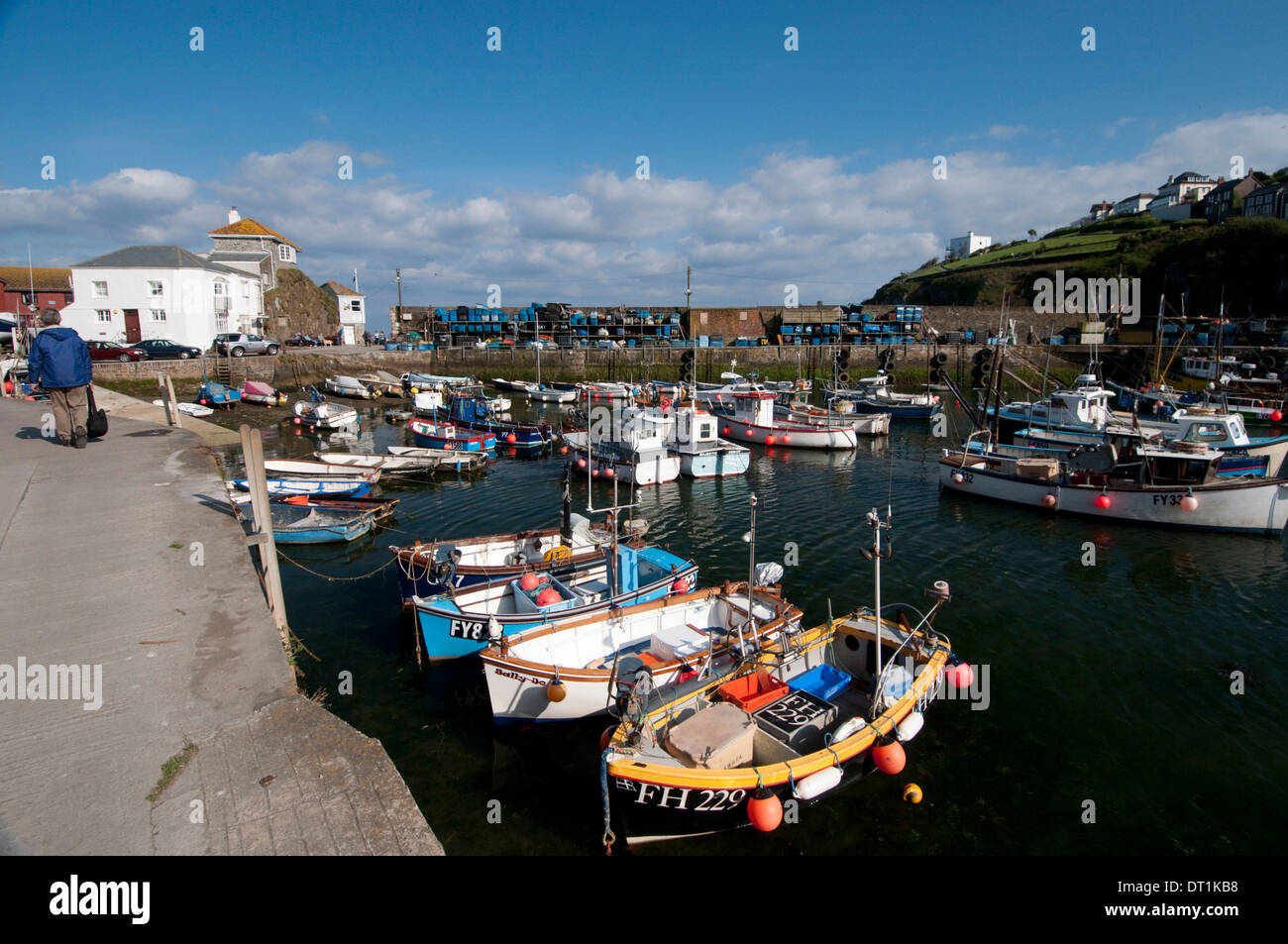 Kleiner Hafen voll mit traditionellen Fischerbooten in Mevagissey, Süd Cornwall, England, Vereinigtes Königreich, Europa Stockfoto