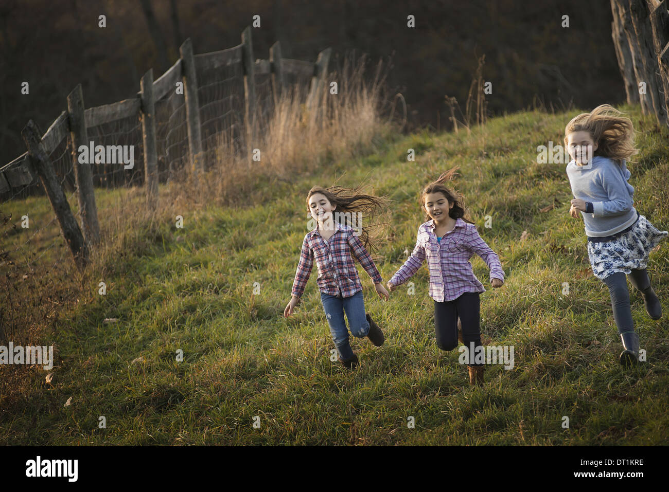 Drei Kinder laufen hinunter einen Hügel auf einem Bio-Bauernhof Stockfoto