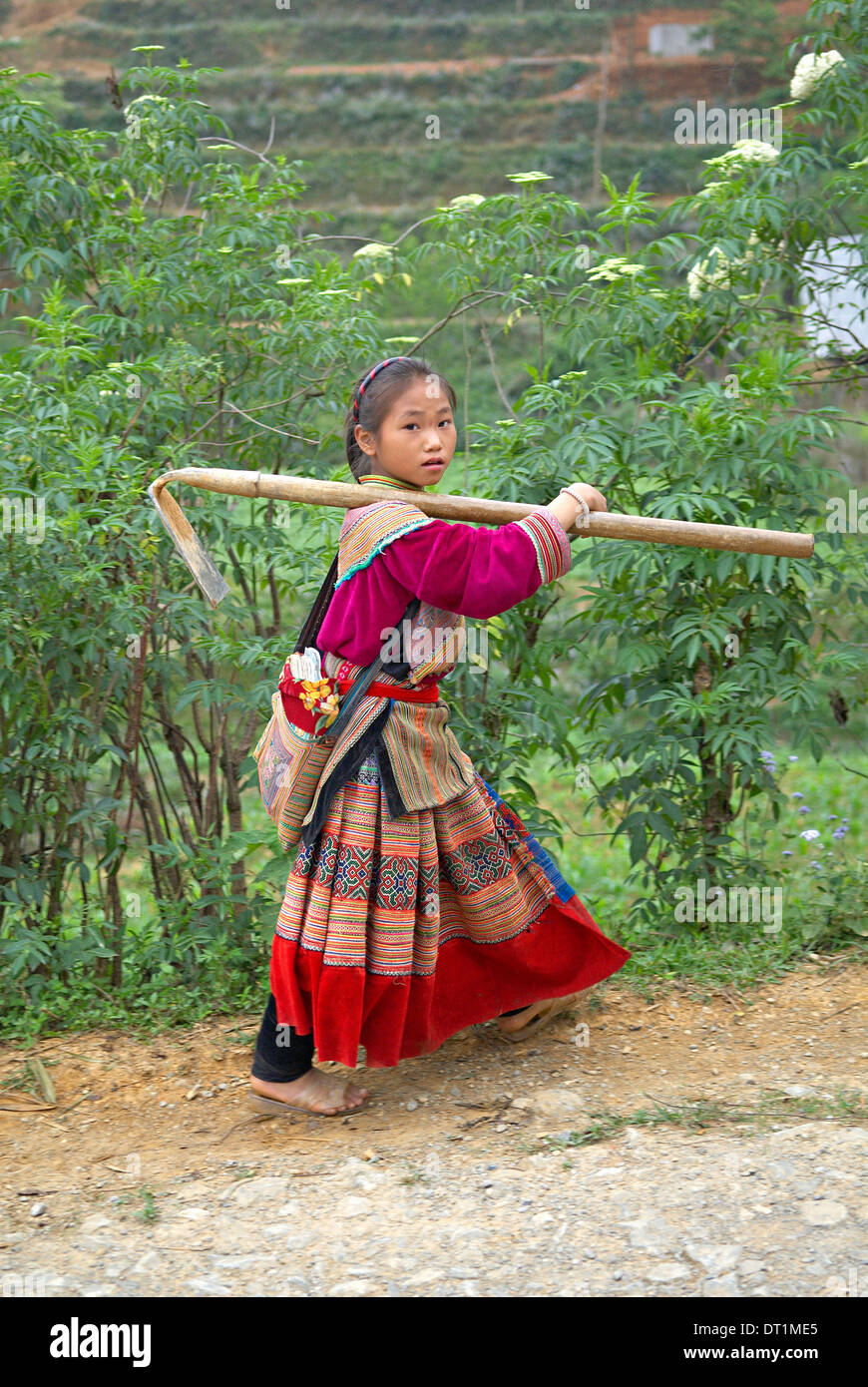 Flower Hmong ethnische Gruppe, Ban Pho Dorf, Bac Ha Fläche, Indochina, Vietnam, Südostasien, Asien Stockfoto
