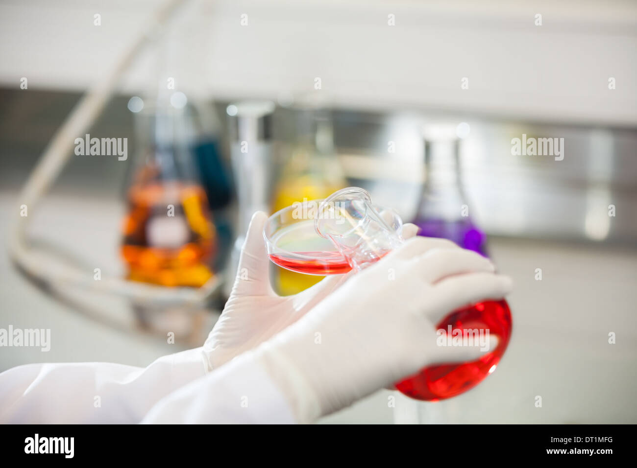 Wissenschaftler, die roten Flüssigkeit in Petrischale gießen Stockfoto