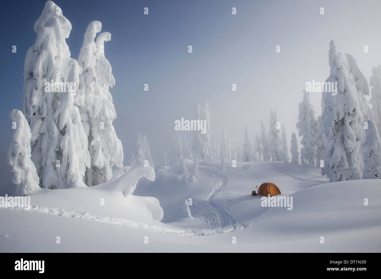 Ein helles orange Zelt unter Schnee bedeckt Bäume auf einem verschneiten Bergrücken mit Blick auf einen Berg in der Ferne Stockfoto