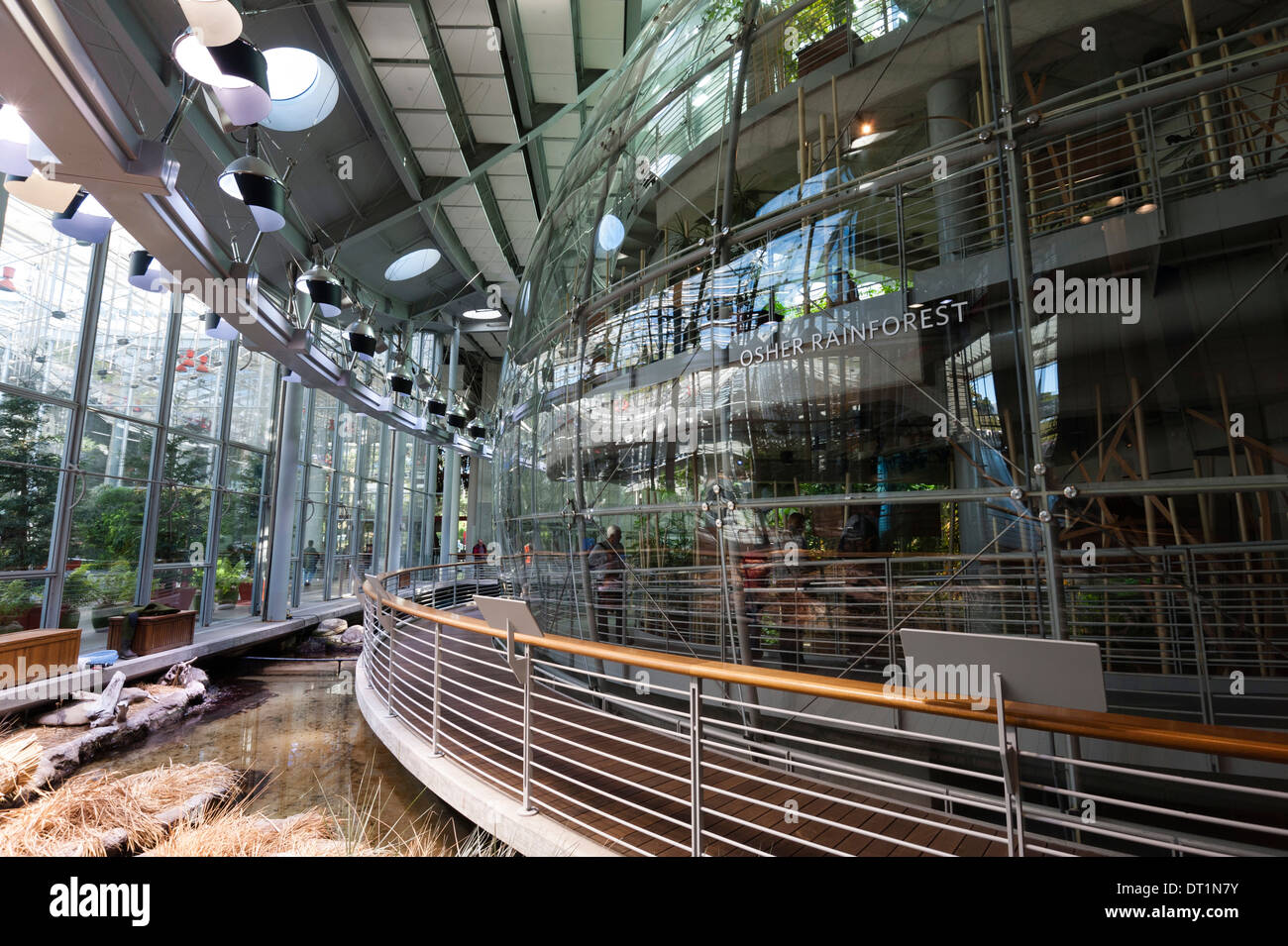 California Academy of Sciences, Golden Gate Park, San Francisco, Kalifornien, Vereinigte Staaten von Amerika, Nordamerika Stockfoto