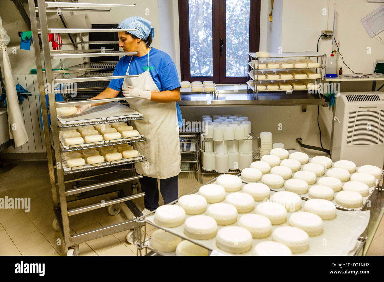 Der Ziegenhof für Käseherstellung bei Slow Food Präsidiums der Robiola Roccaverano, Piemont, Italien, Europa Stockfoto
