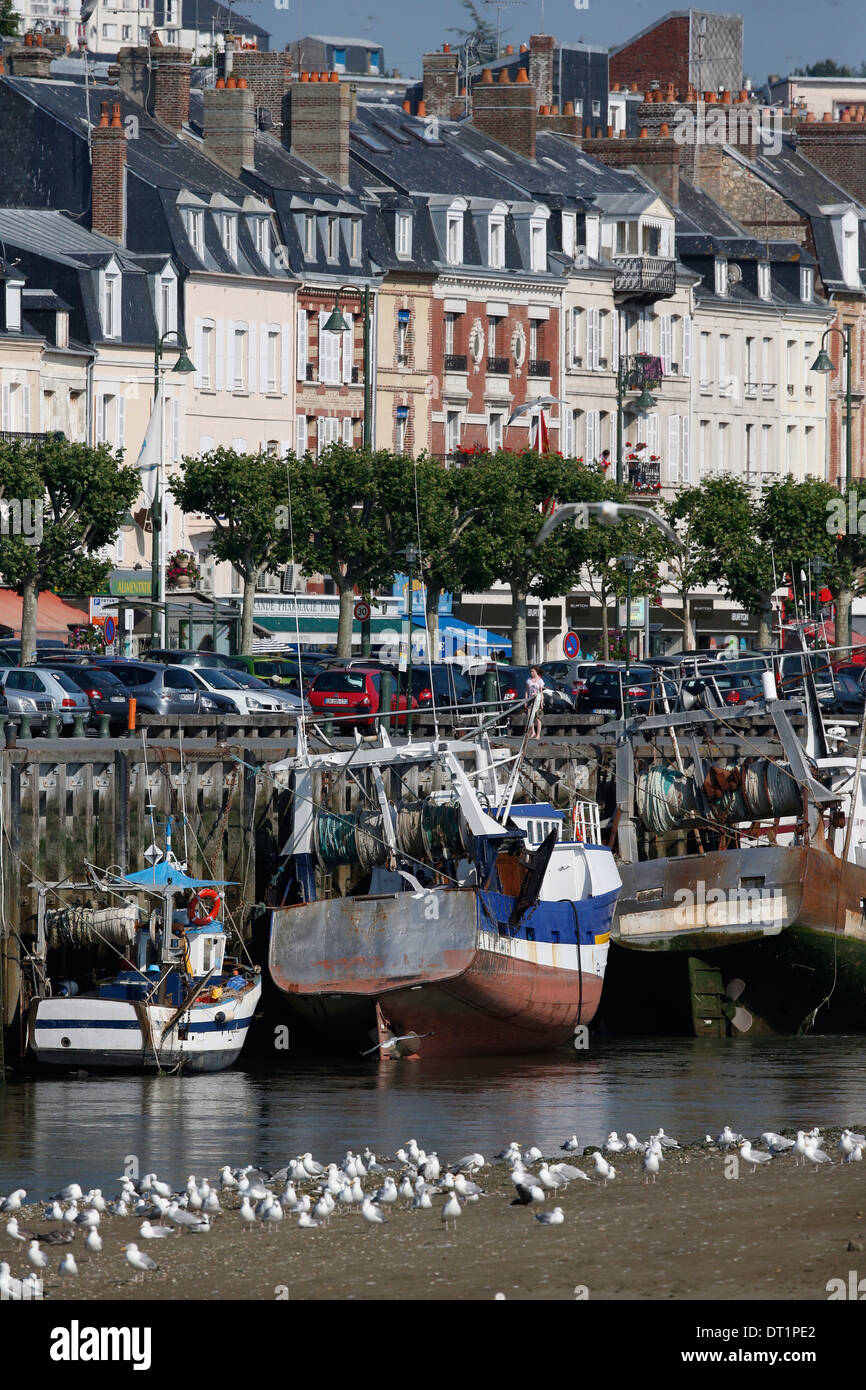 Angeln-Port Trouville-sur-Mer, Calvados, Normandie, Frankreich, Europa Stockfoto