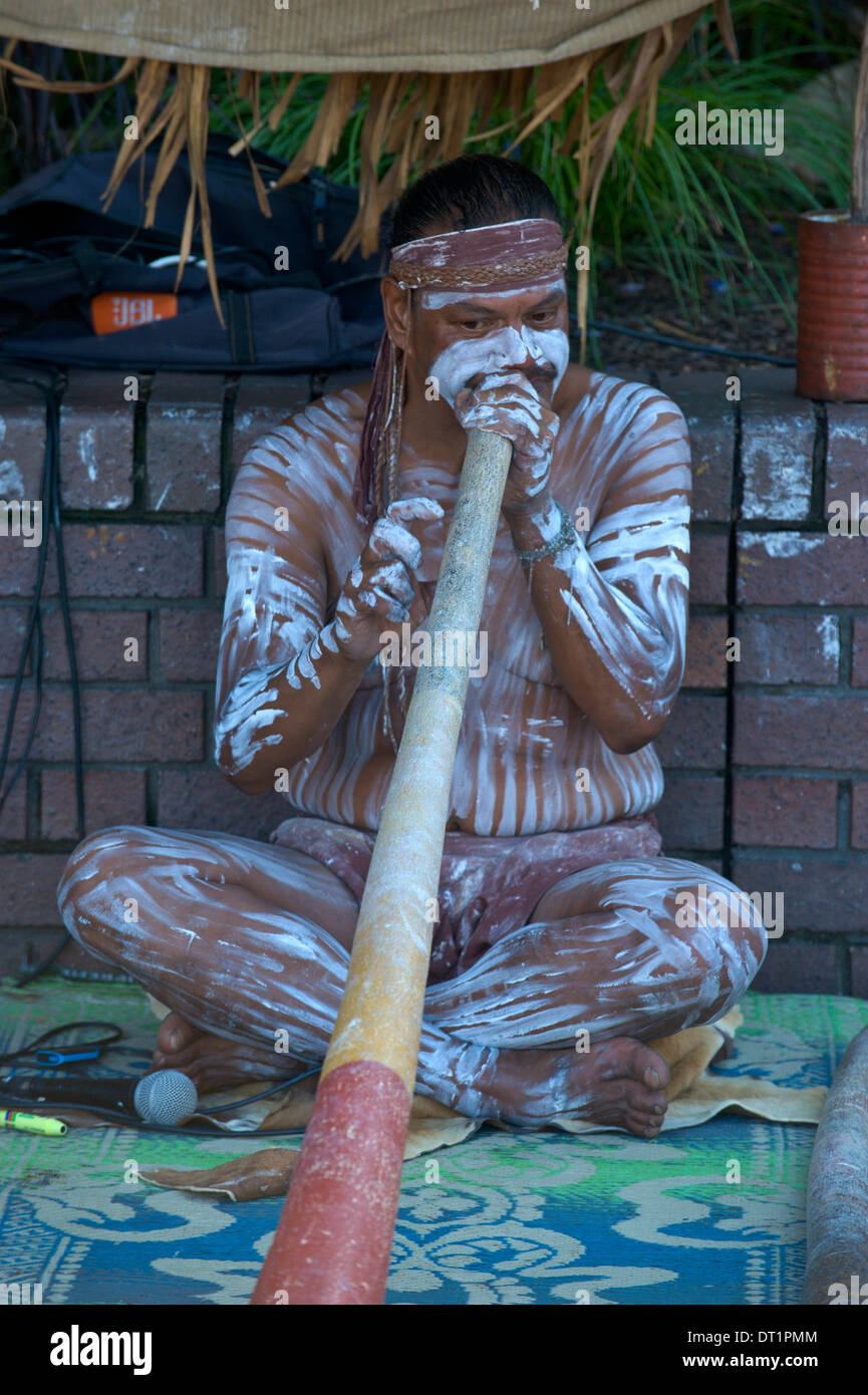 Aborigines Musiker spielt für Touristen in den Hafen von Sydney, New South Wales, Australien, Pazifik Stockfoto