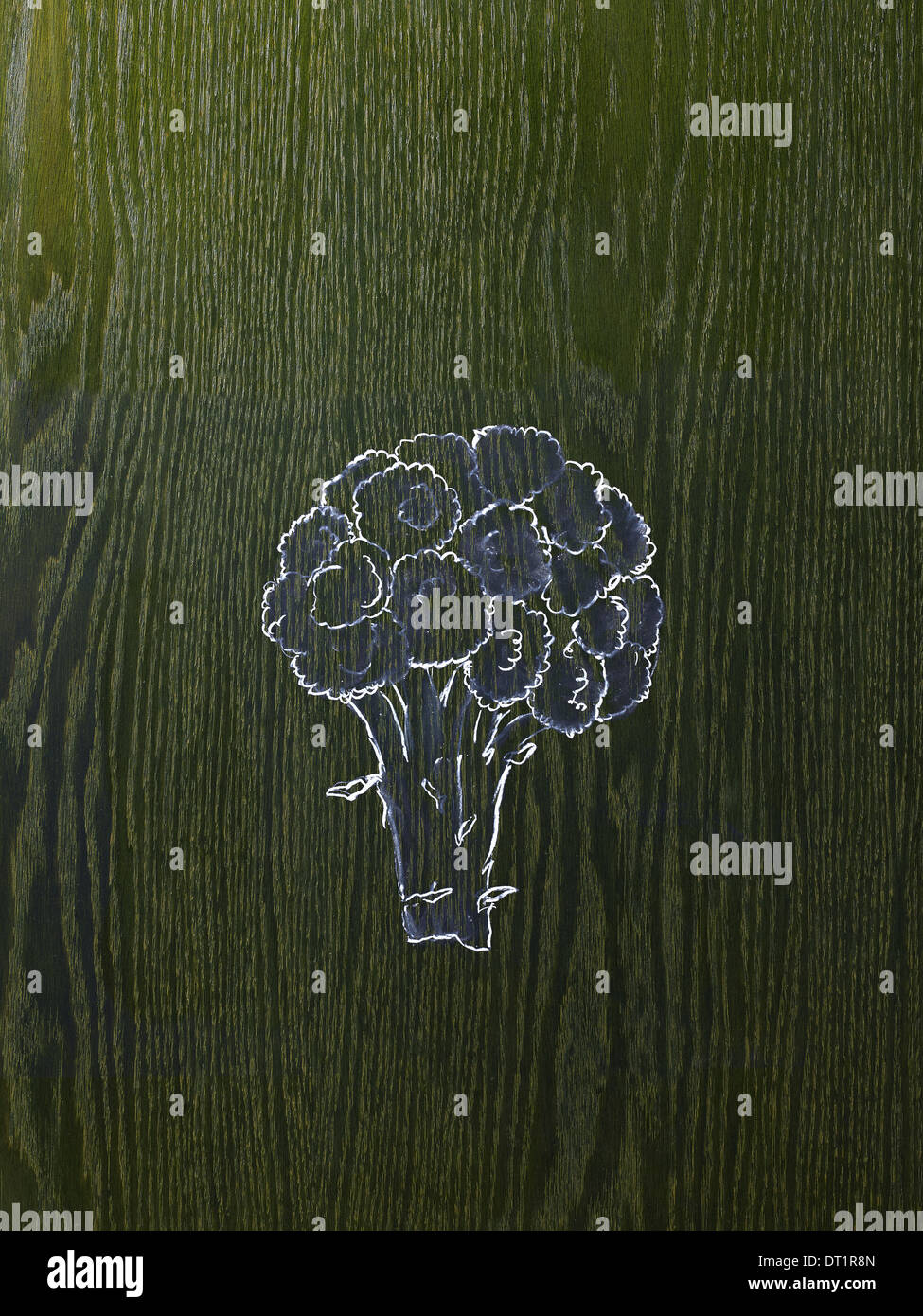 Eine Strichzeichnung Bild auf eine natürliche Holzmaserung Hintergrund einen Kopf von Broccoli-Röschen und Stiel Stockfoto