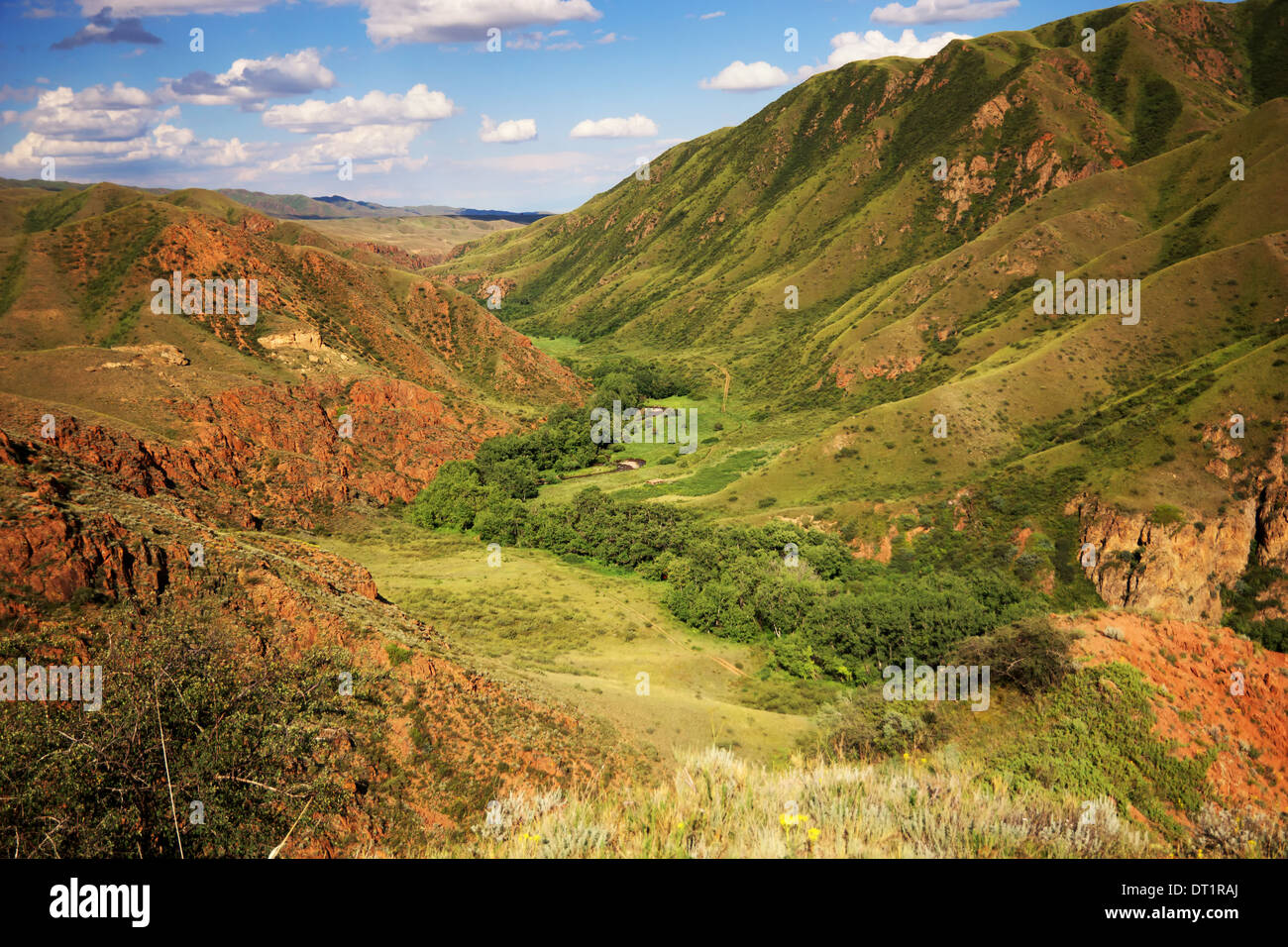 Fluss-Schlucht Jenishke, Tyan-Shan-Gebirge, Kasachstan Stockfoto