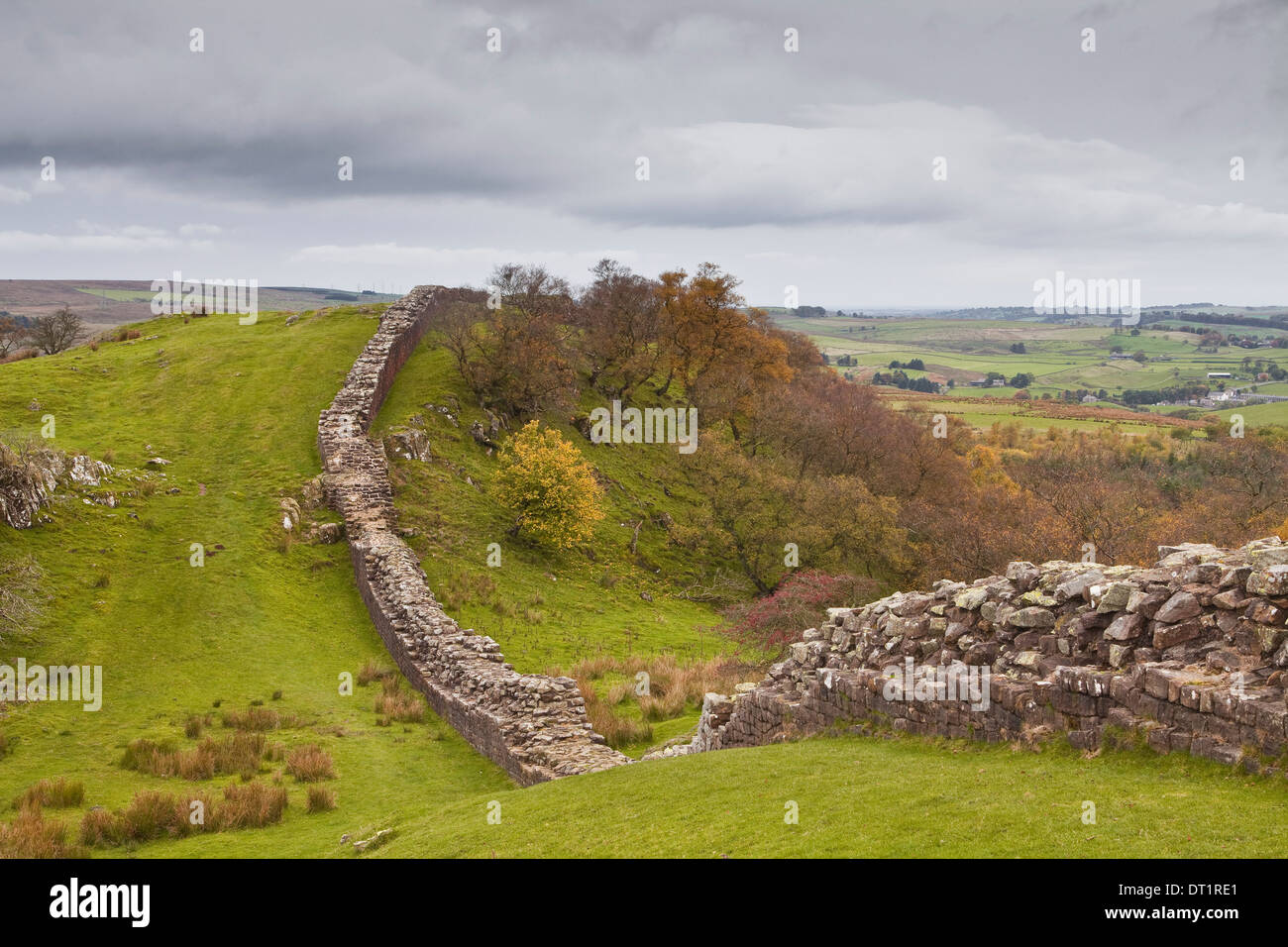 Der Hadrianswall, UNESCO-Weltkulturerbe, Northumberland, England, Vereinigtes Königreich, Europa Stockfoto