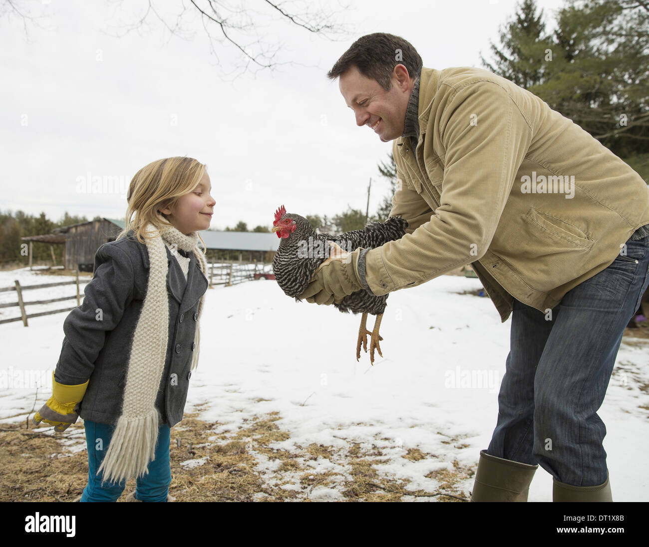 Ein Mann hält ein Huhn in seinen Händen A Mädchen lehnt sich nach vorne Farm im Schnee Stockfoto