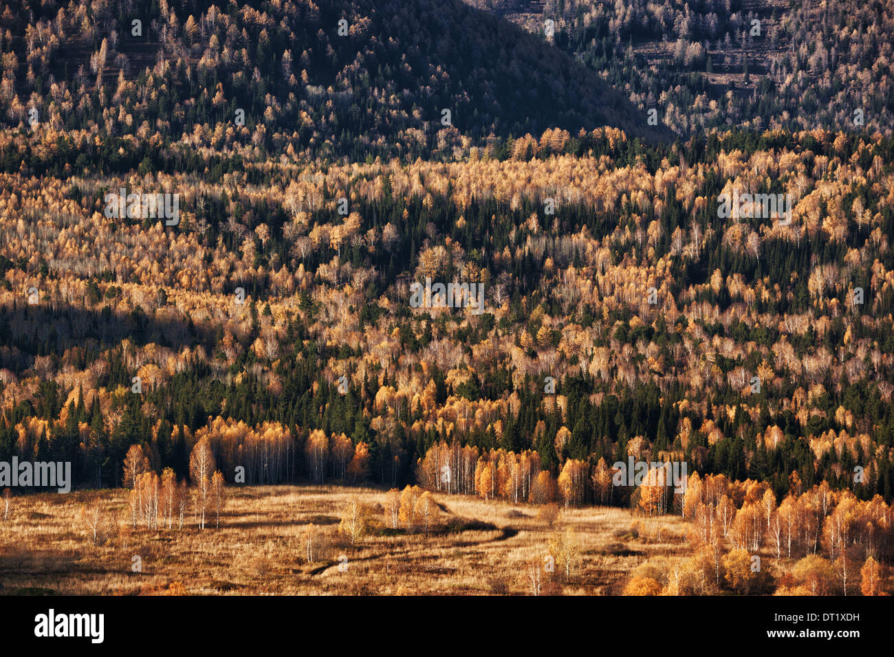 Herbstliche Landschaft in den Bergen Stockfoto