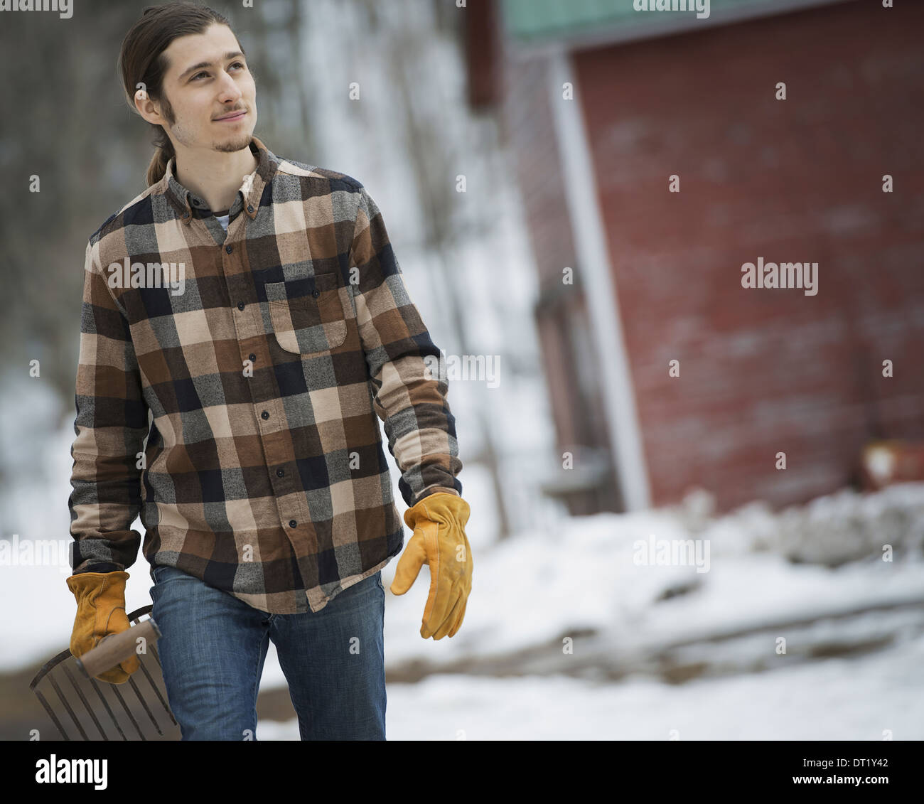 Ein Bio-Bauernhof im Winter in New York State USA A Mann im karierten Hemd zu Fuß über schneebedeckten Boden Stockfoto