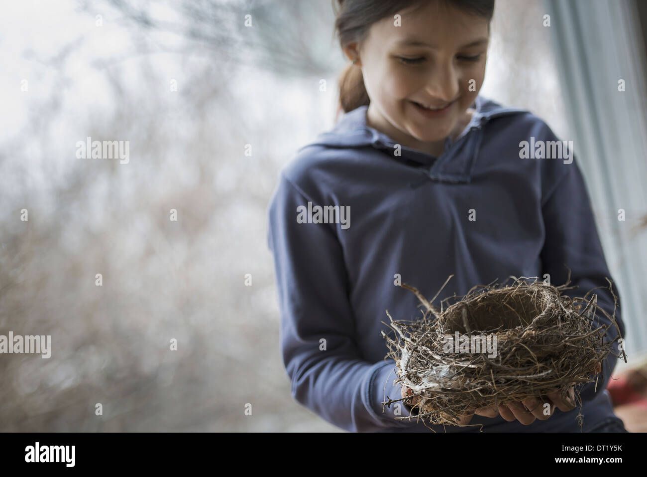 Ein Bio-Bauernhof im Winter in New York State USA A junges Mädchen hält ein Vogelnest, gewebt aus Zweigen und Blättern Stockfoto