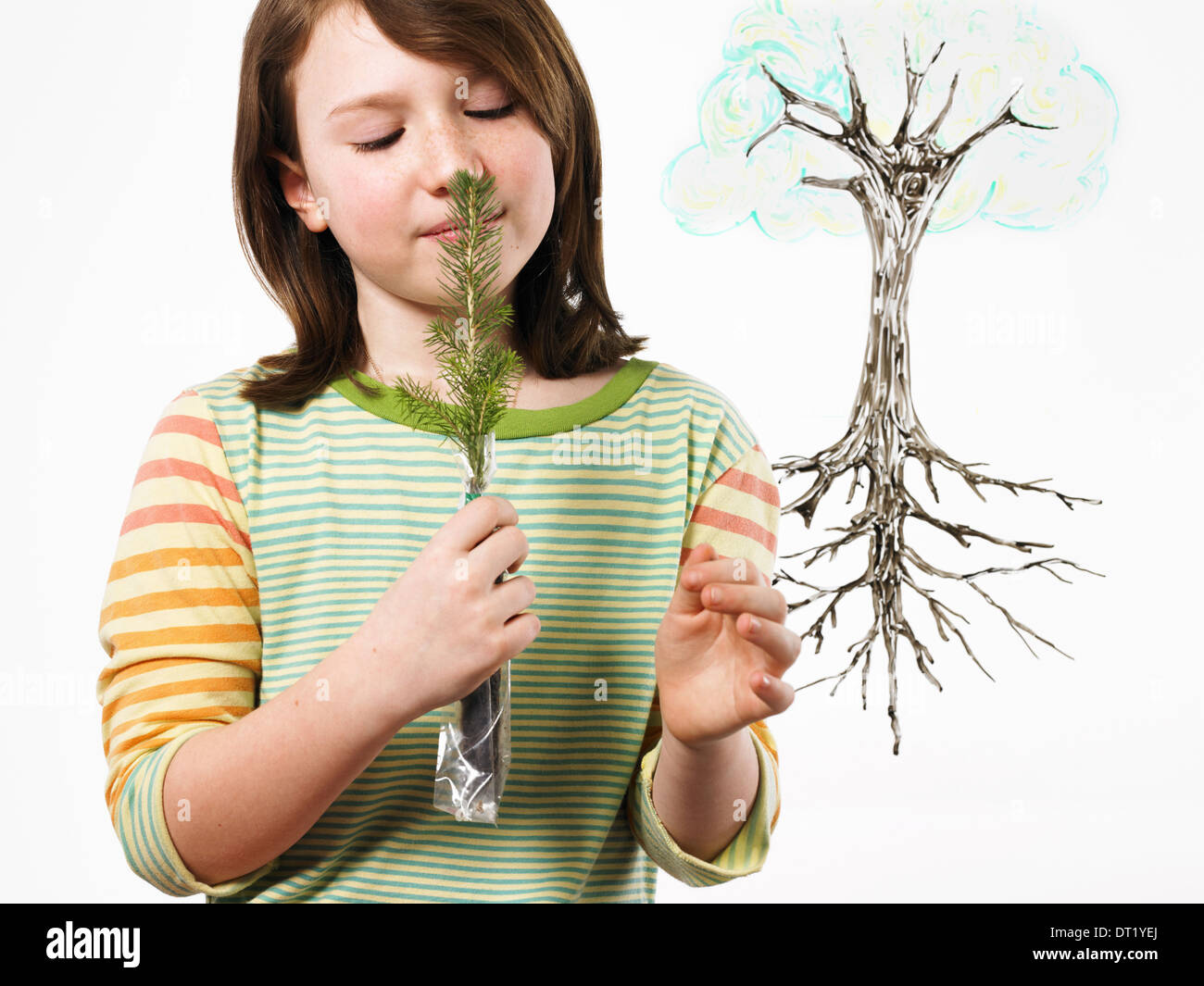 Ein junges Mädchen hält einen kleinen immergrünen Sämling auf ihre Nase und riechen Pflanze mit Wurzeln auf einer klar durchsichtigen Oberfläche Stockfoto