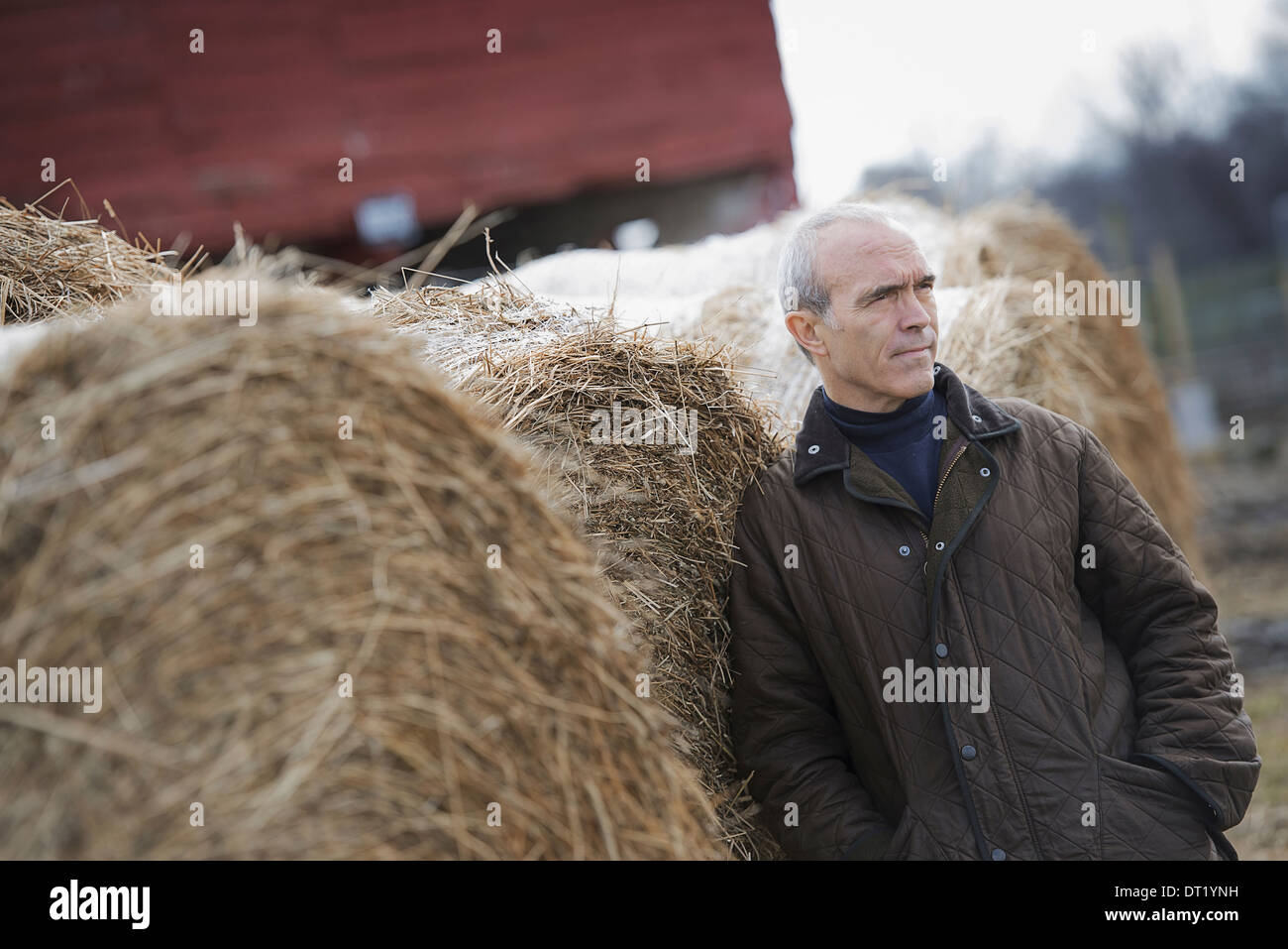 Ein Bio-Bauernhof im Winter ein Mann stehend neben großen Heuballen Stockfoto