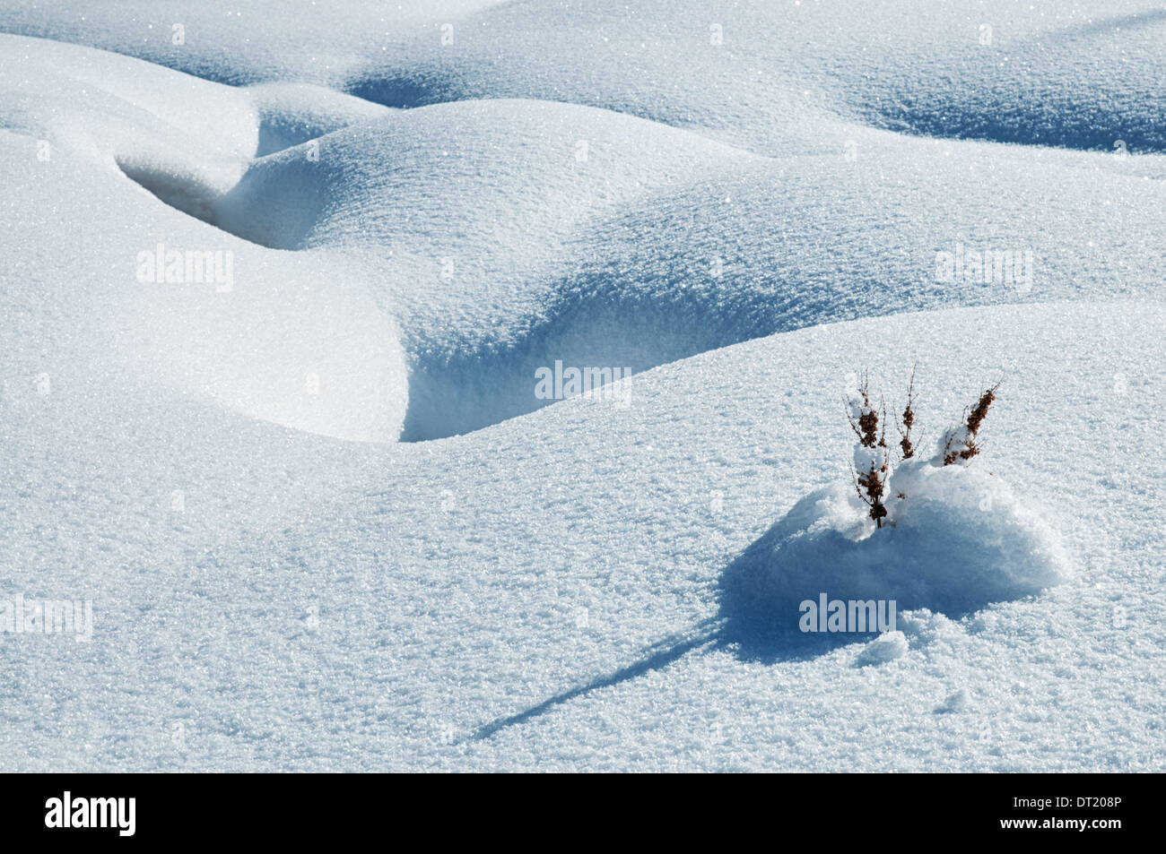 Detail der Winterlandschaft mit Schnee Stockfoto