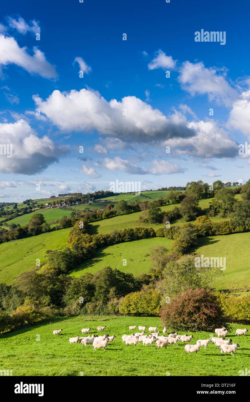 Die englische Landschaft Stockfoto