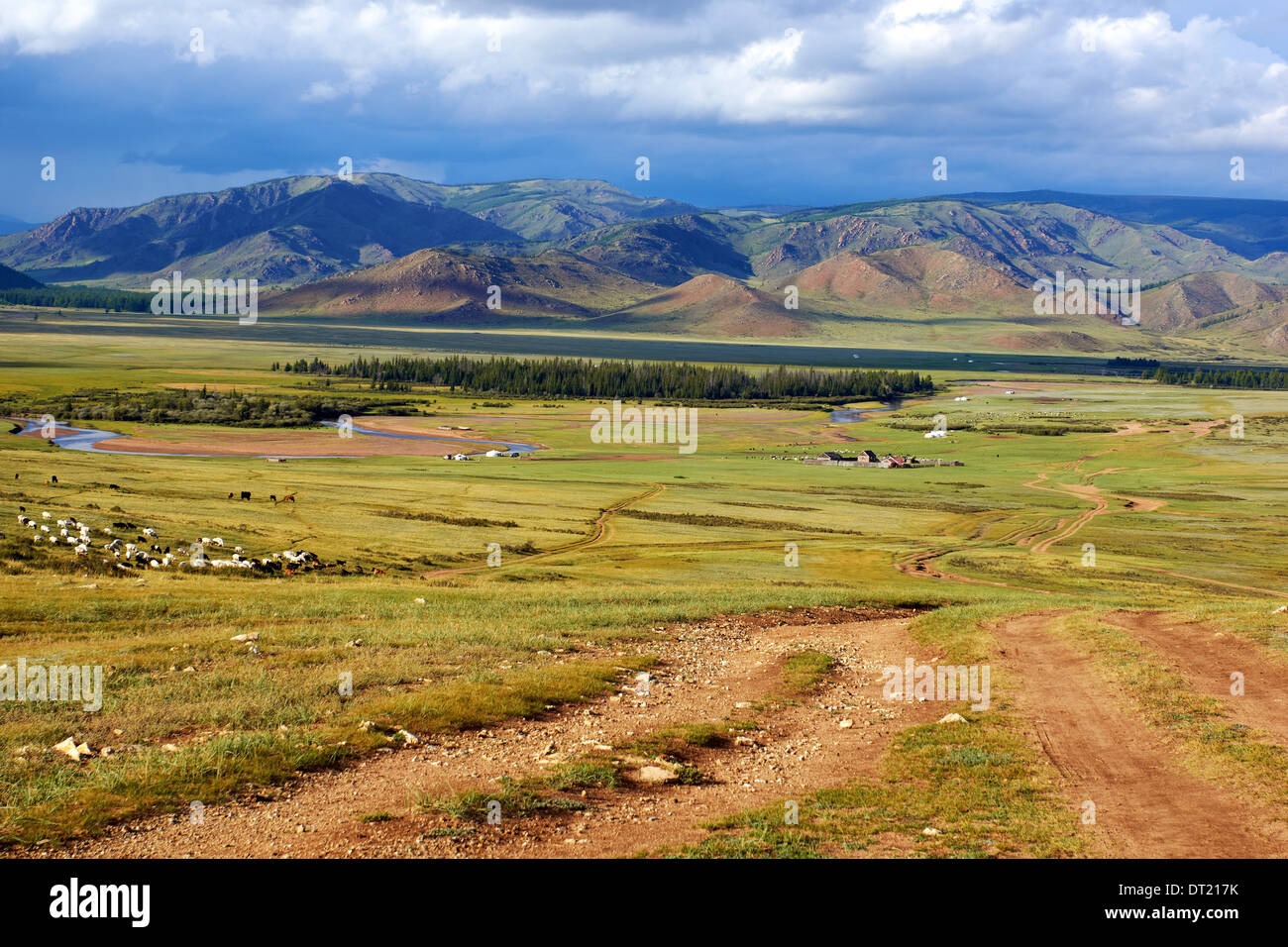 Tal des Flusses Delgermoron in der nördlichen Mongolei Stockfoto