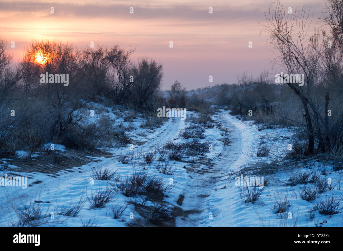 Winter-Wüste und alte Landstraße in Region Almaty, Kasachstan Stockfoto