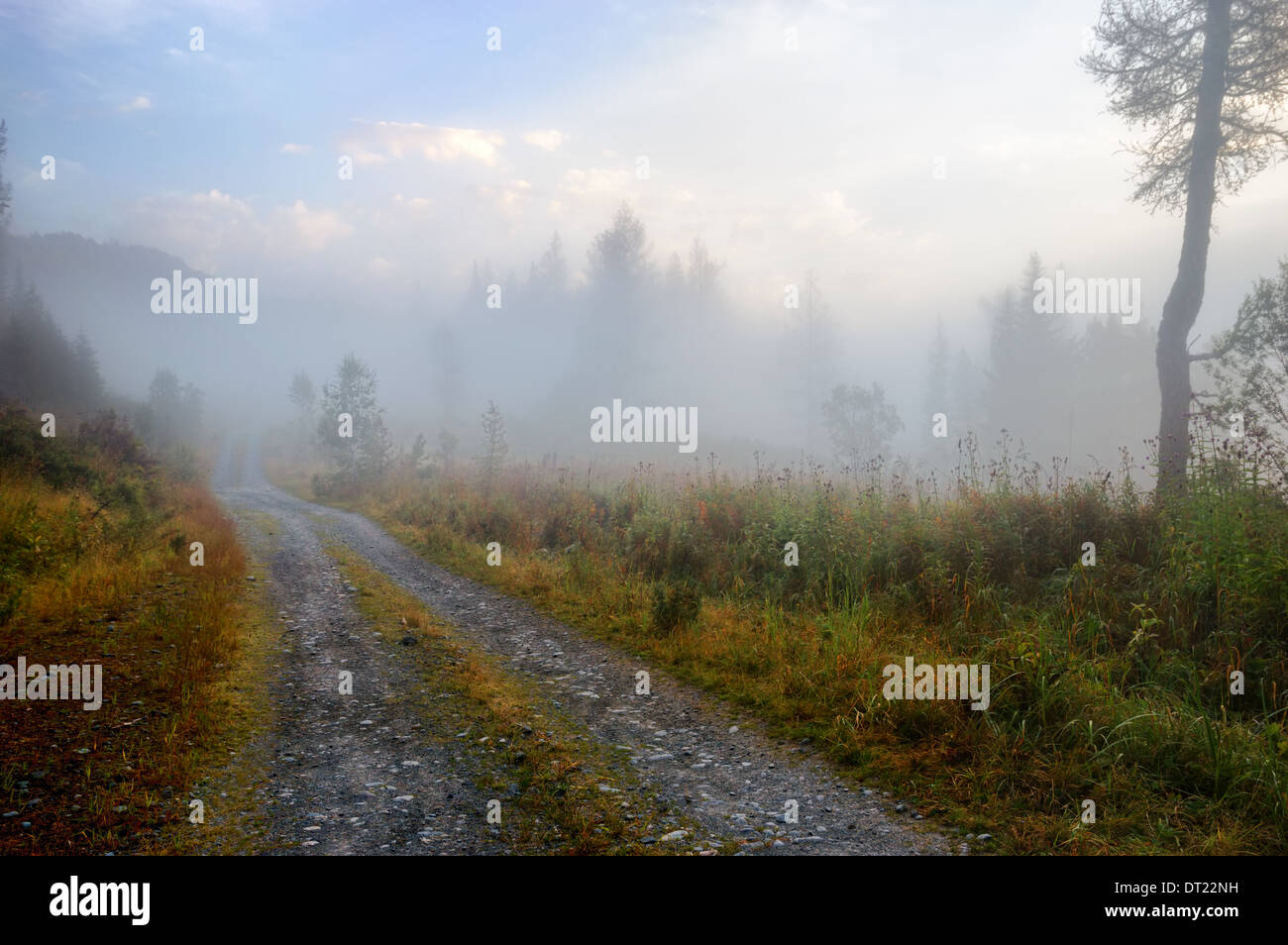 Landstraße und Nebel in den Bergen Stockfoto