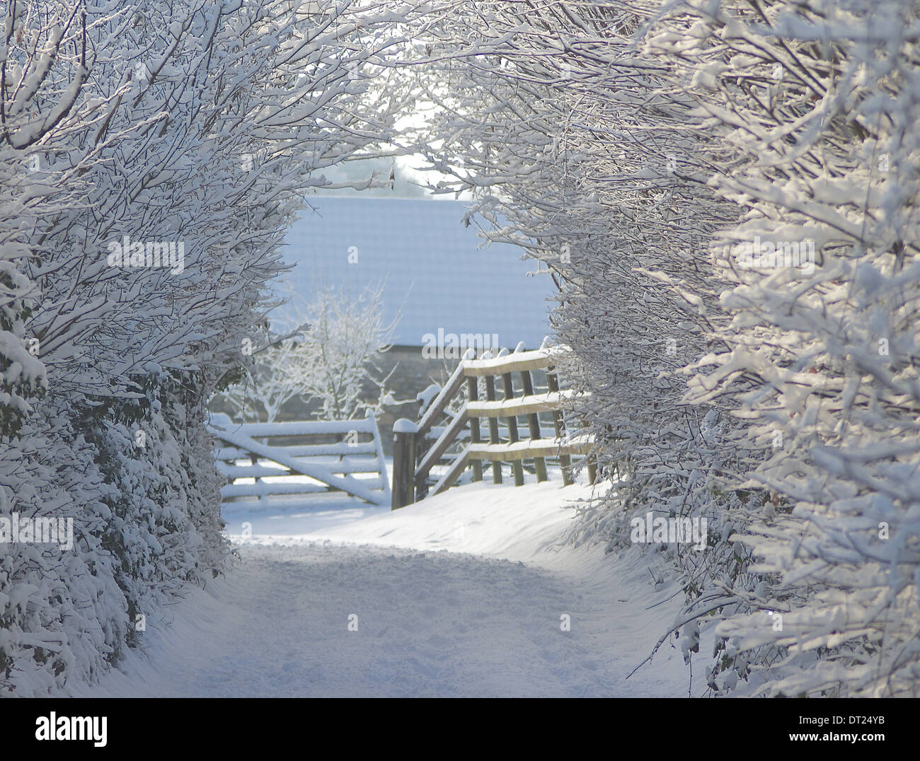 Winter Wonderland - verschneiten Feldweg Stockfoto