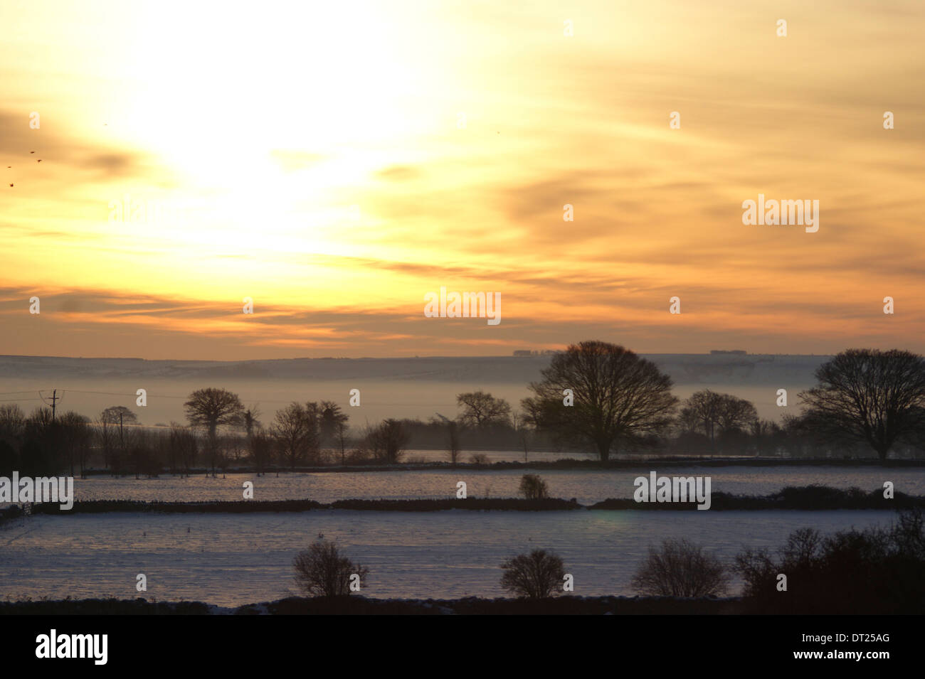 Am frühen Morgen Winter Sonnenaufgang über Felder Haugh, Wiltshire, UK Stockfoto