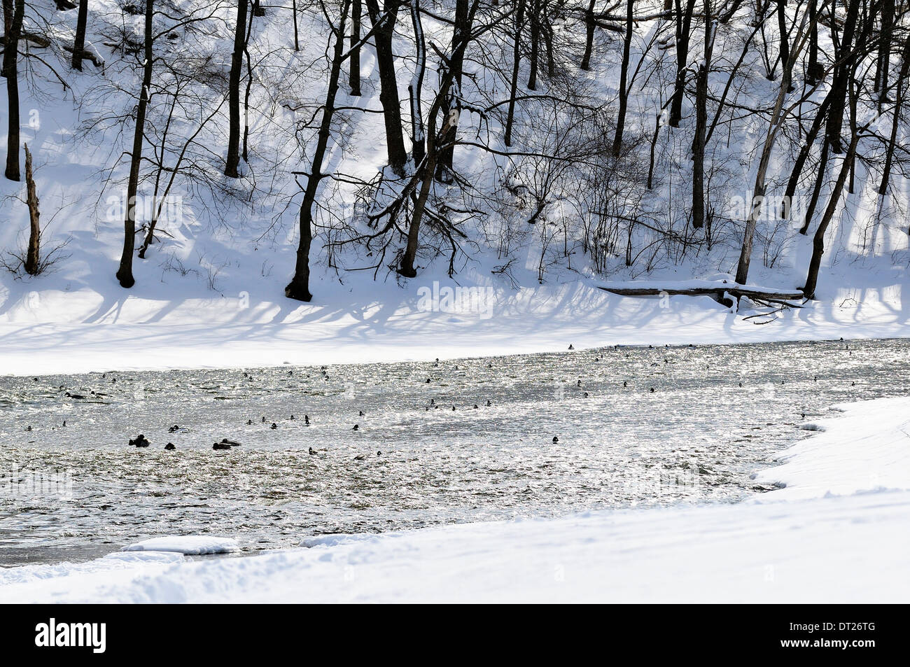 Fluss fließt durch Tal im winter Stockfoto