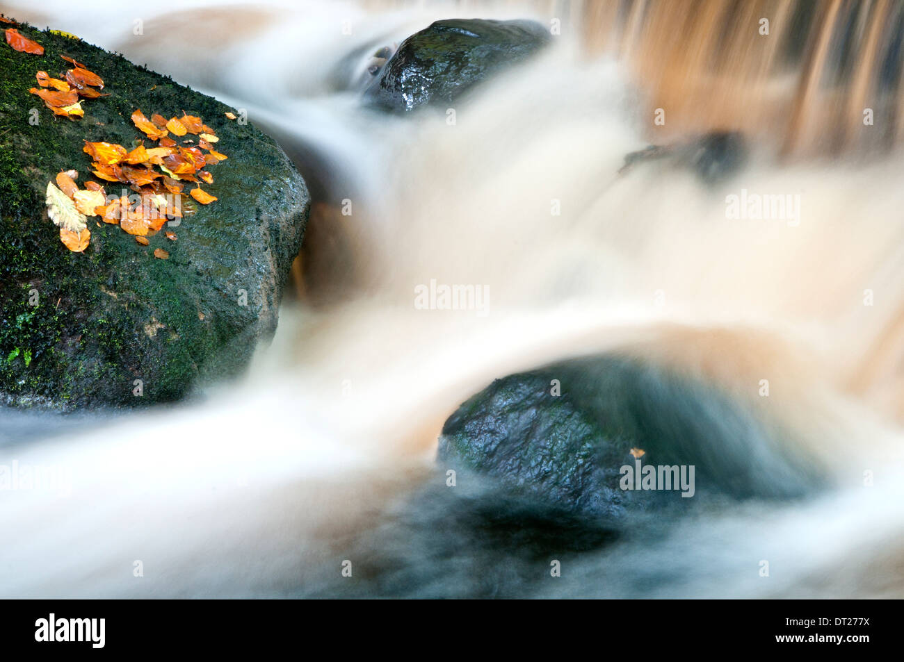 Fließt ein Fluss mit Blätter im Herbst und Felsen Stockfoto