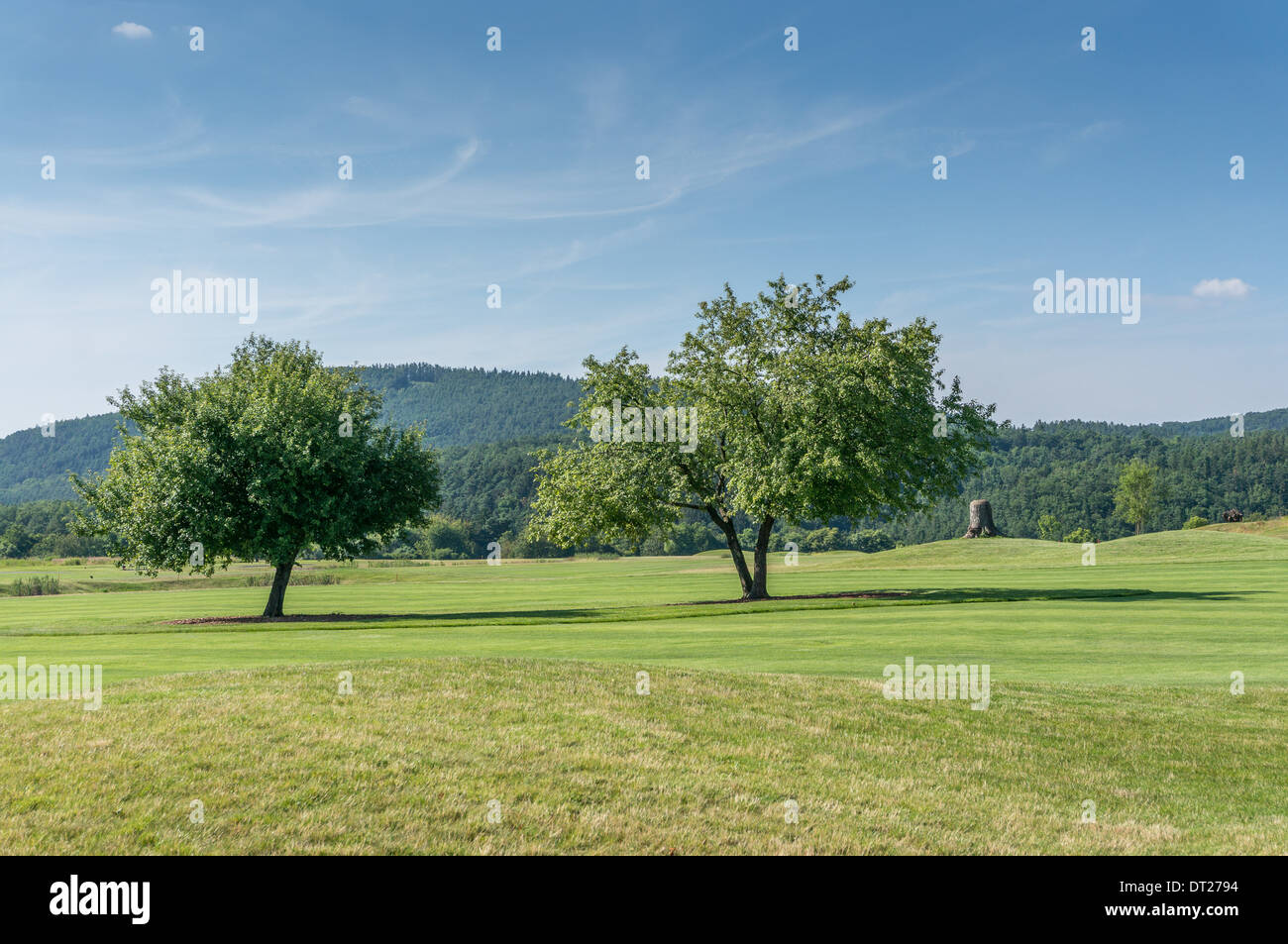 Zwei Bäume unter Sommerhimmel mit Blick auf einige Berge in der Ferne Stockfoto