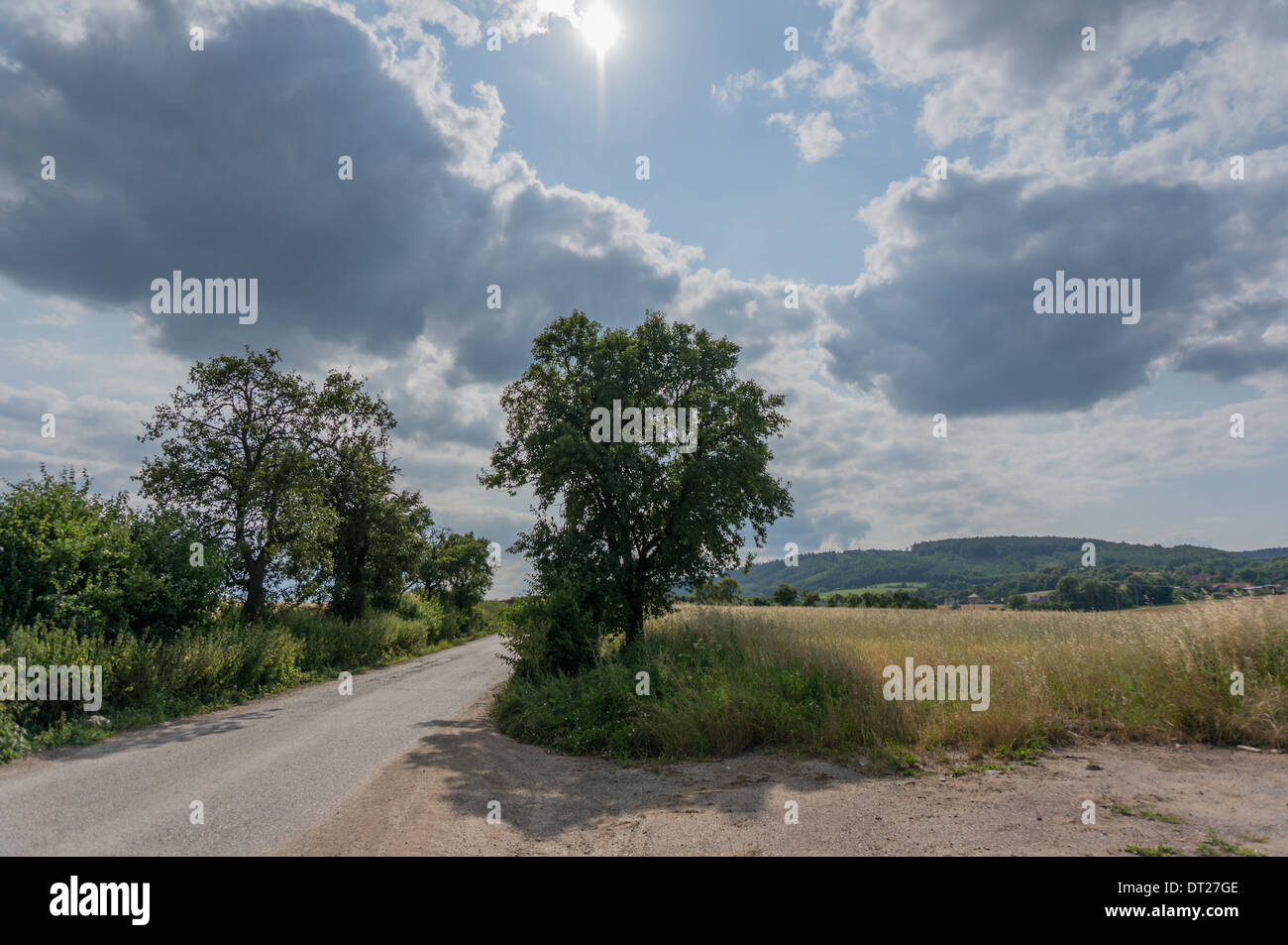 Ein bewölkter Himmel über einen Baum neben einer Straße auf dem Lande Stockfoto