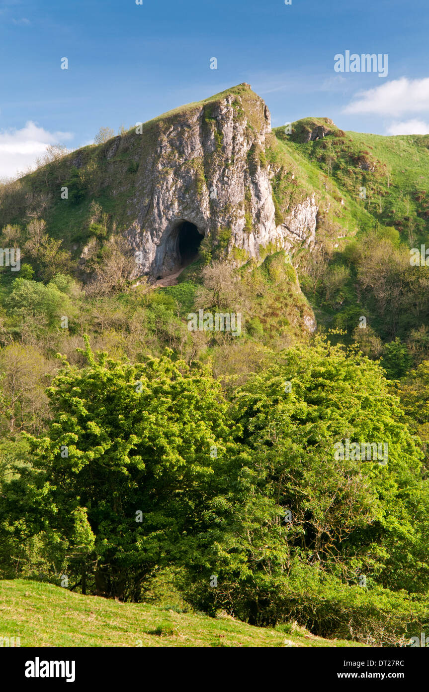 Thor Höhle, auf den Krümmer Weg, Verteiler-Tal, Peak District National Park, Staffordshire, England, Vereinigtes Königreich Stockfoto