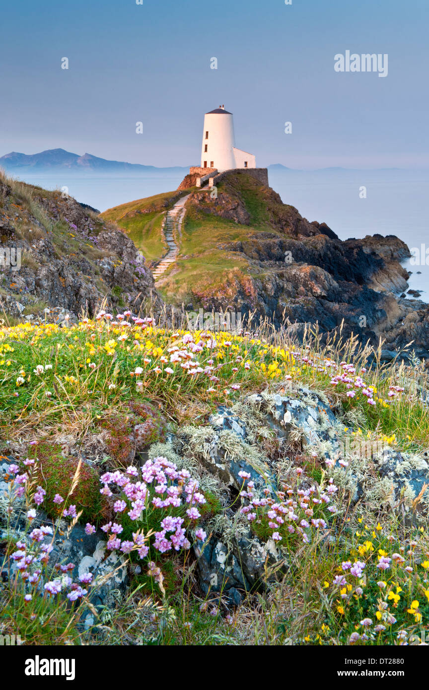 Tŵr Mawr Leuchtturm, llanddwyn Island, Whitby, North Wales, UK Stockfoto