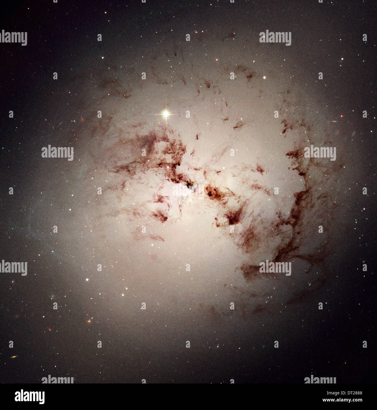 Loops und Blobs von kosmischem Staub liegen versteckt in die elliptische Riesengalaxie NGC 1316 durch das Hubble Space Telescope der NASA aufgenommen. Stockfoto