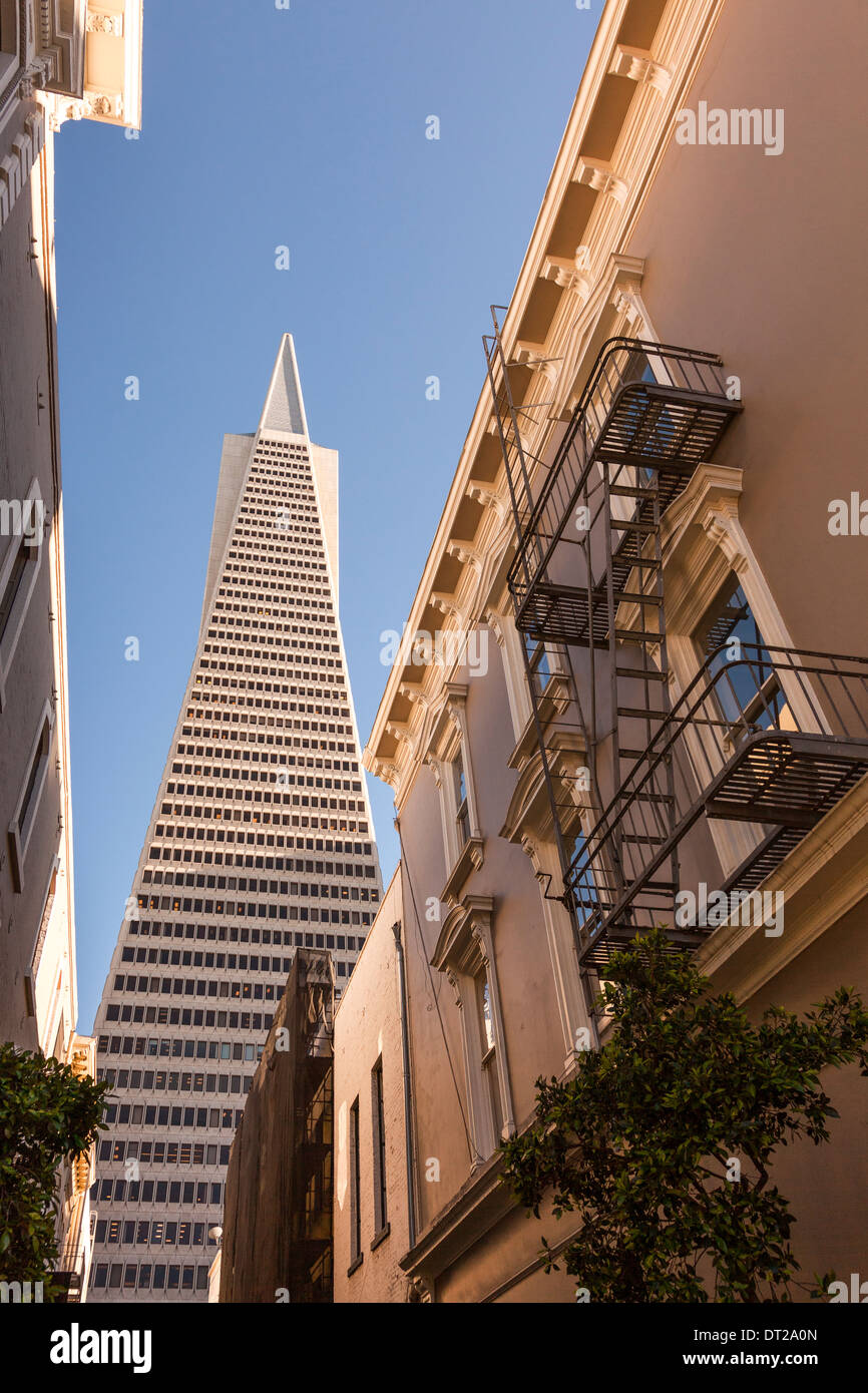 Transamerica Pyramid, San Francisco, Kalifornien, USA Stockfoto