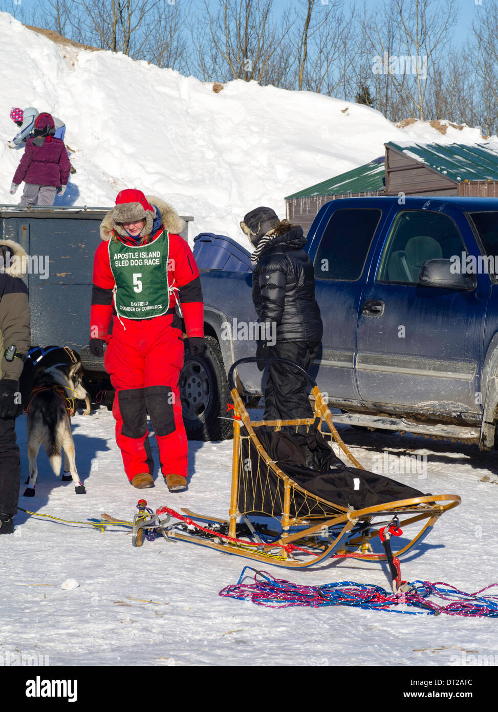 Alice weiß der Finnland, MN, bereitet ihr zehn-Hund-Rennen auf Sonntag, 2. Februar 2014. Szenen aus der Apostle Islands Sled Dog Race Stockfoto