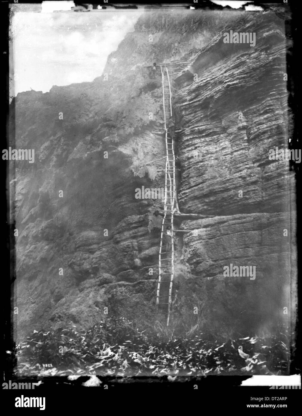 Ein Foto einer Leiter auf dem Fußweg, der aus dem Havasu Canyon zu den Mooney Falls im Grand Canyon führt. Das Bild wurde um 1900 aufgenommen und erfasst das zerklüftete Gelände des Canyons. Stockfoto