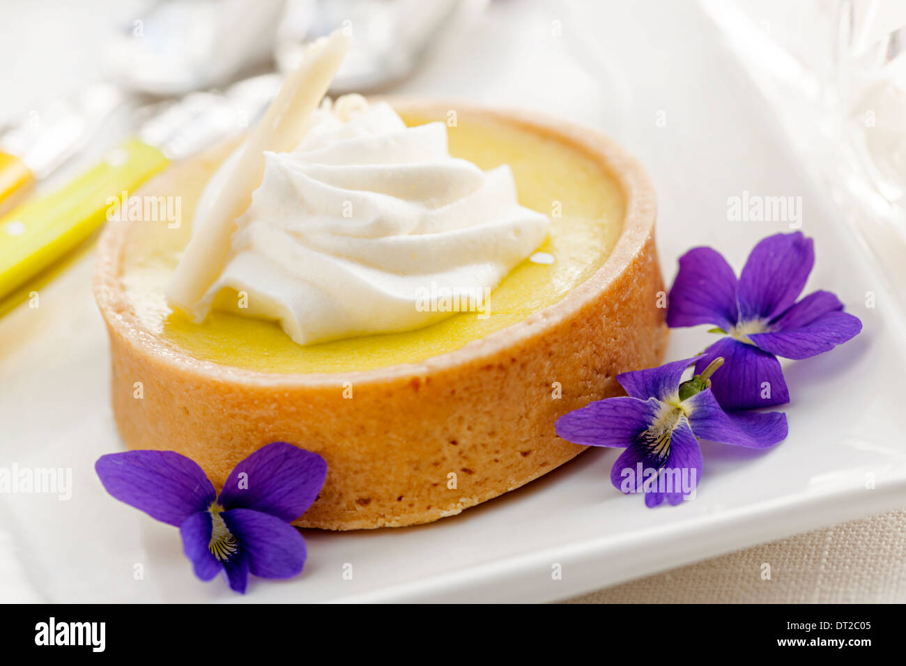 Frische Gourmet-Zitrone Dessert-Torte mit essbaren violetten Blüten garnieren Stockfoto