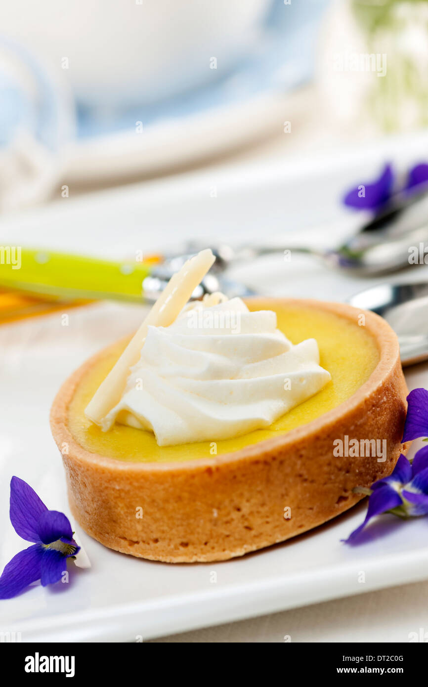 Frische Gourmet-Zitrone Dessert-Torte mit essbaren violetten Blüten garnieren Stockfoto