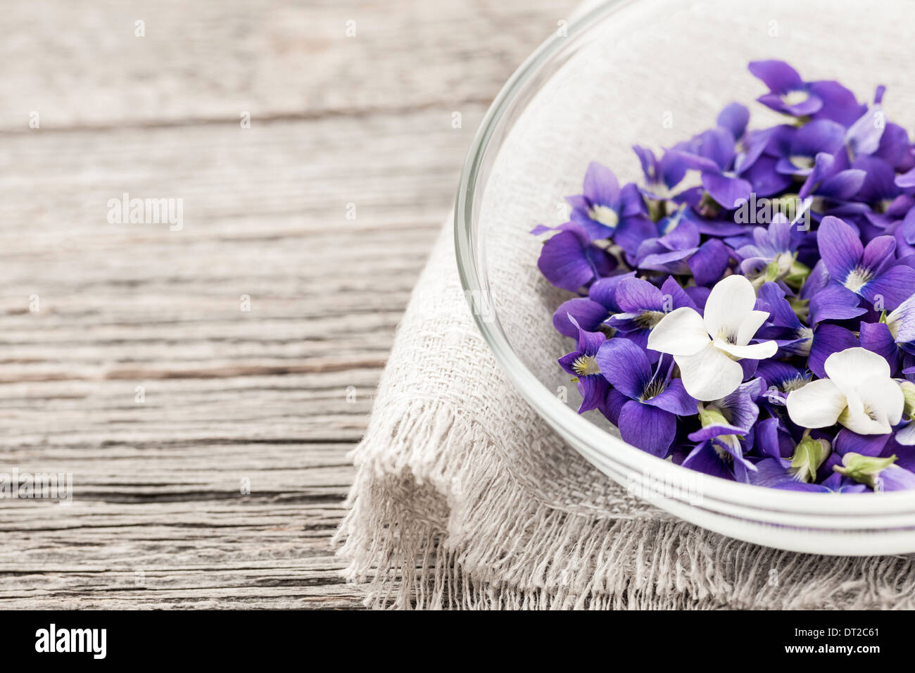 Sammelpflanzen essbare lila und weißen violetten Blüten in Schüssel auf Holz Hintergrund mit Textfreiraum Stockfoto
