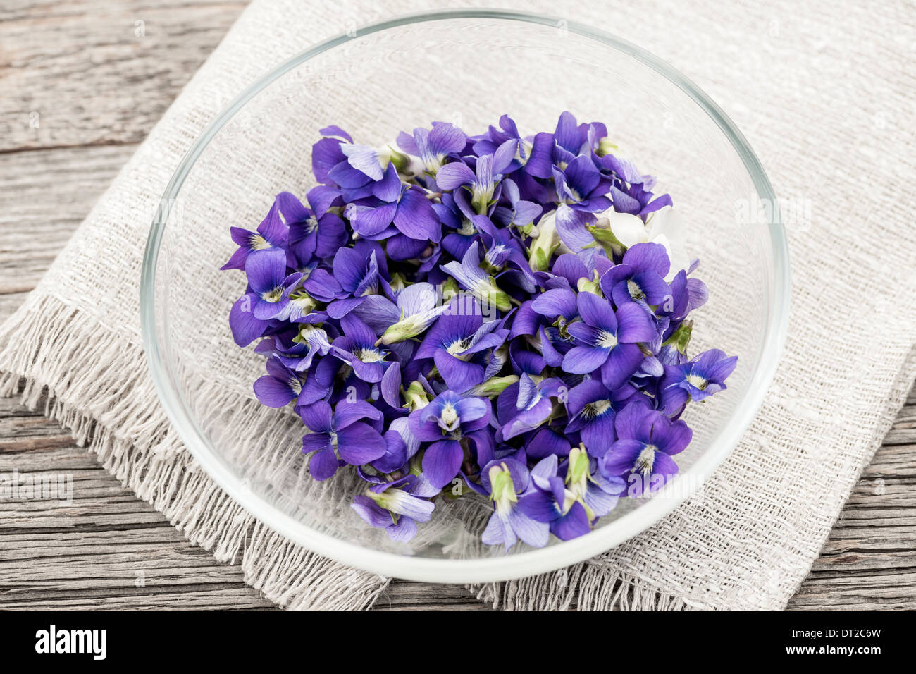Sammelpflanzen essbare lila und weißen violetten Blüten in Schüssel Stockfoto