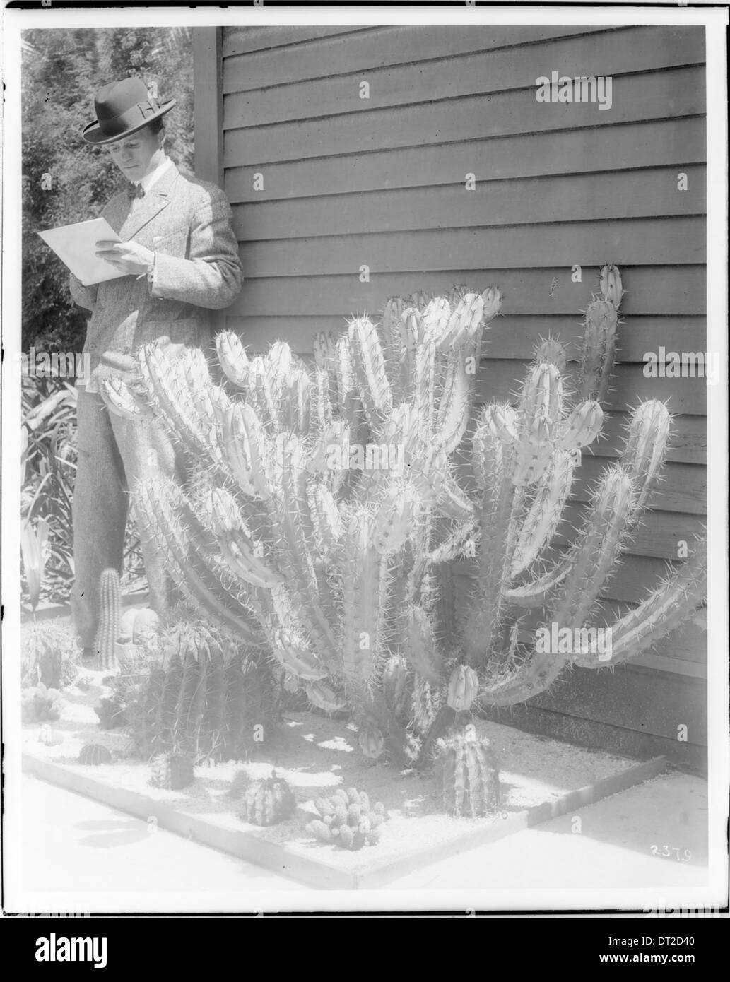 Dieses Foto zeigt einen Mann in einem Tweed-Anzug neben einem Kakteen, aufgenommen um 1920, und bietet einen Einblick in Mode des frühen 20. Jahrhunderts vor Wüstenkulisse. Stockfoto Dieses Foto zeigt einen Mann in einem Tweed-Anzug neben einem Kakteen, aufgenommen um 1920, und bietet einen Einblick in Mode des frühen 20. Jahrhunderts vor Wüstenkulisse. Stockfoto