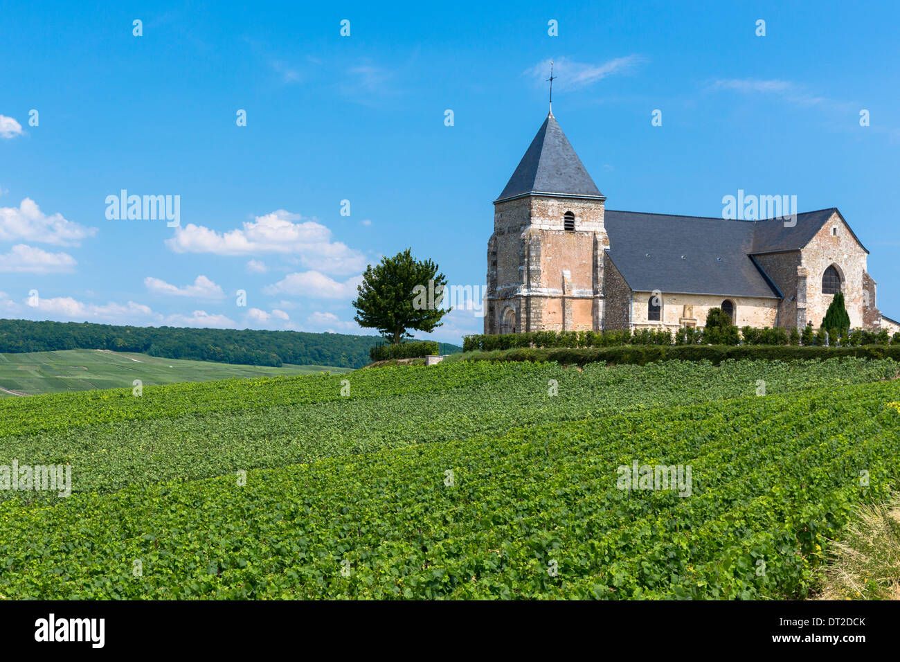 Eglise de Chavot, 12. Jahrhundert Kirche von Chavot, auf touristische Route Champagner in Marne, Region Champagne-Ardenne, Frankreich Stockfoto