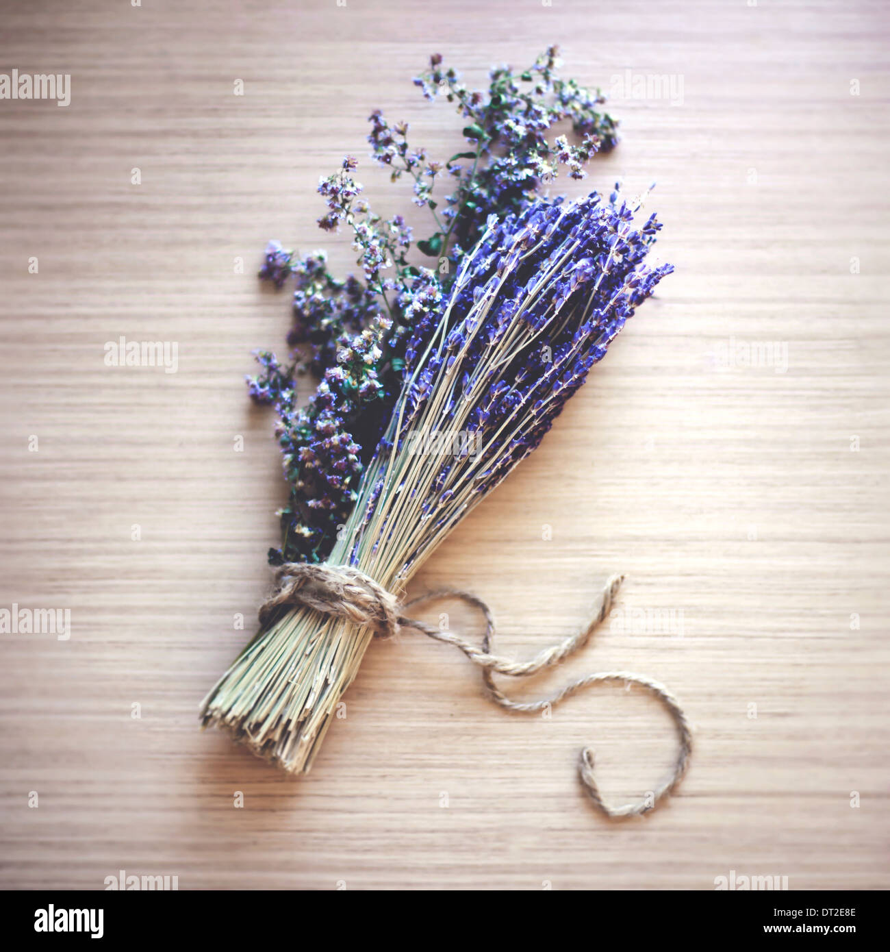 Haufen von getrocknetem Lavendel Stockfoto
