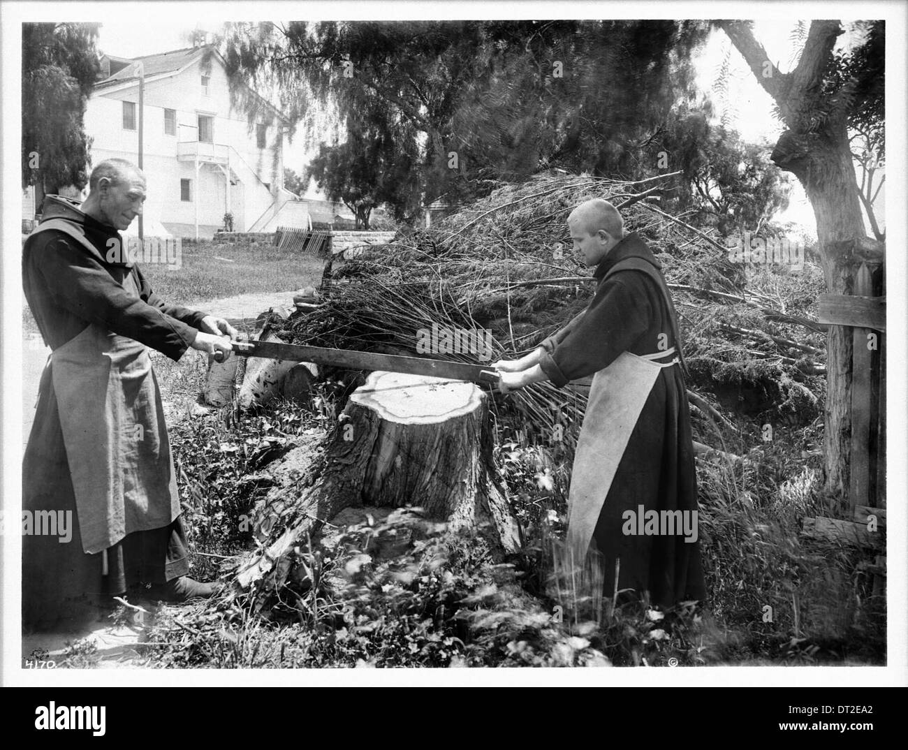 Mönche einen Baumstumpf Sägen, um das Land an der Mission Santa Barbara klar ca.1900 Stockfoto