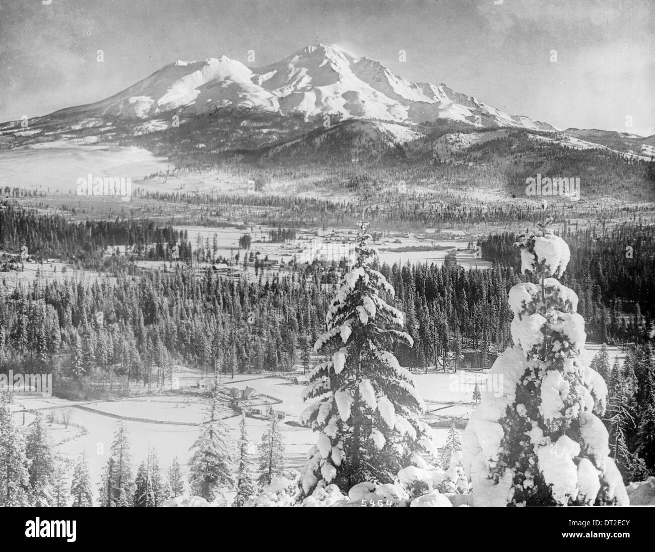 Ein Foto des schneebedeckten Mount Shasta im Siskiyou County, aufgenommen zwischen 1900 und 1940, das die Winterlandschaft des Berges zeigt. Stockfoto