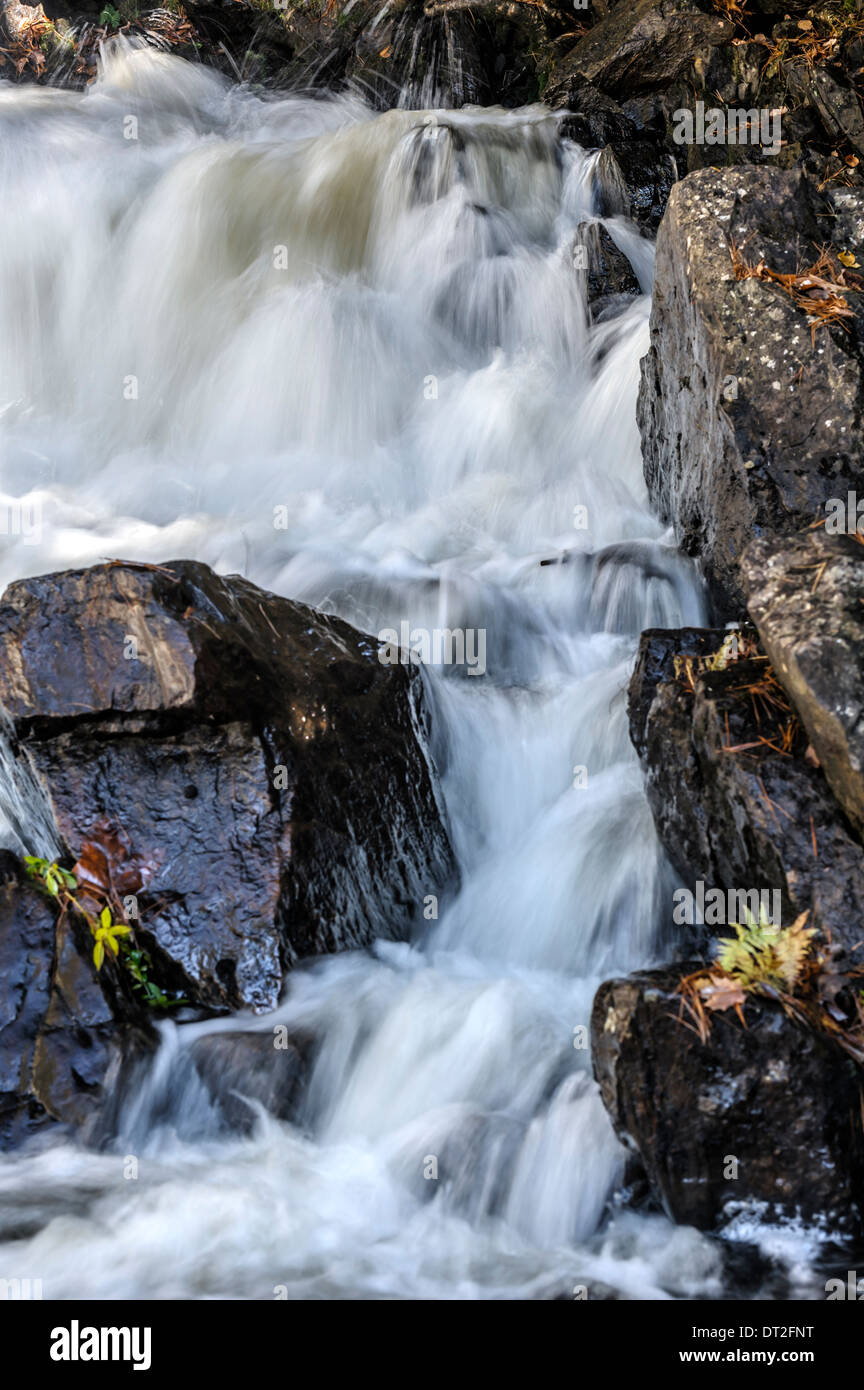 Schnelles Wasser an den Brooks Falls in Muskoka Stockfoto